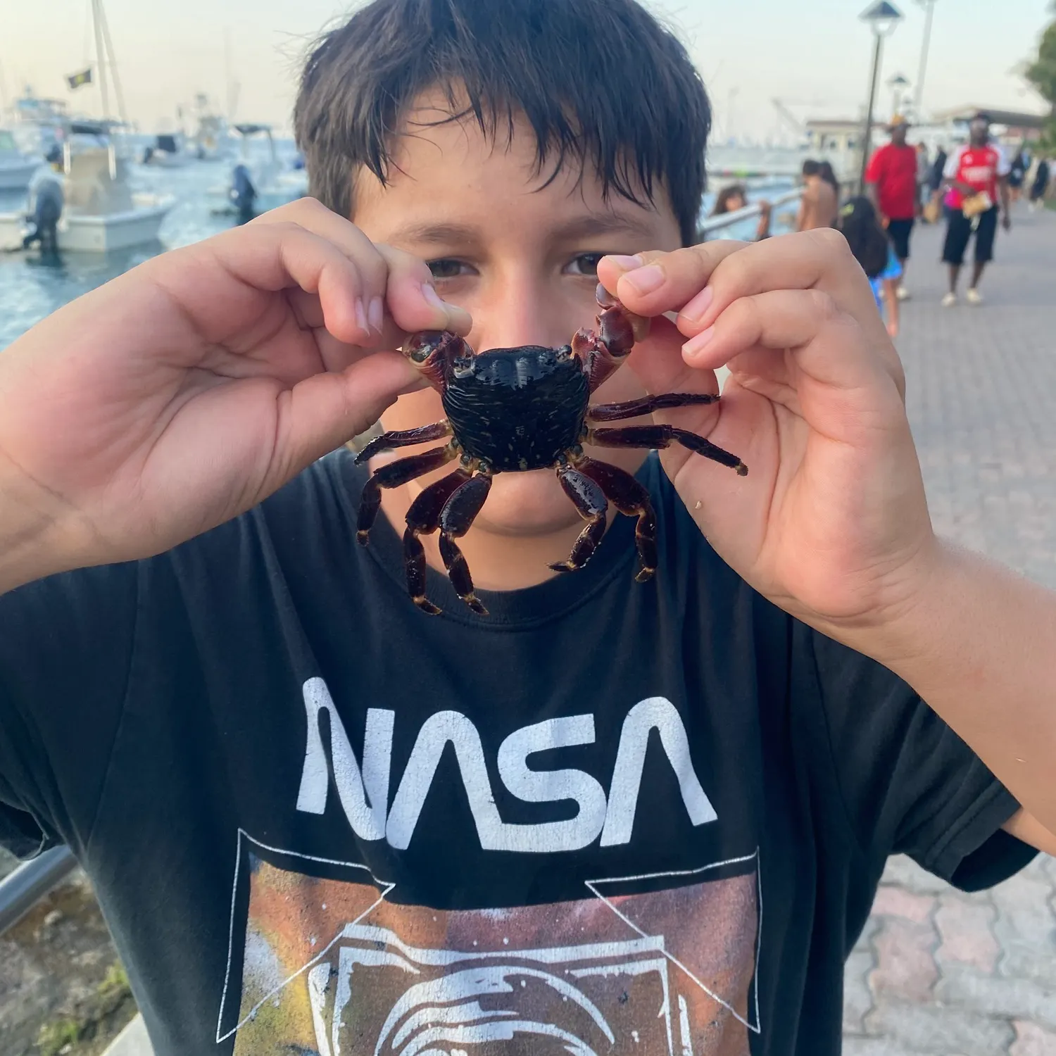 The most recent Pacific rock crab catches on Fishbrain