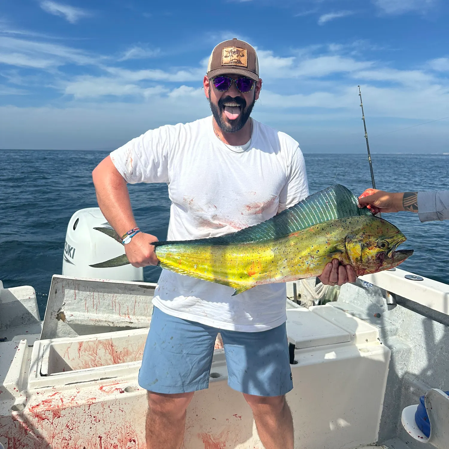 The most recent Common dolphinfish catches on Fishbrain