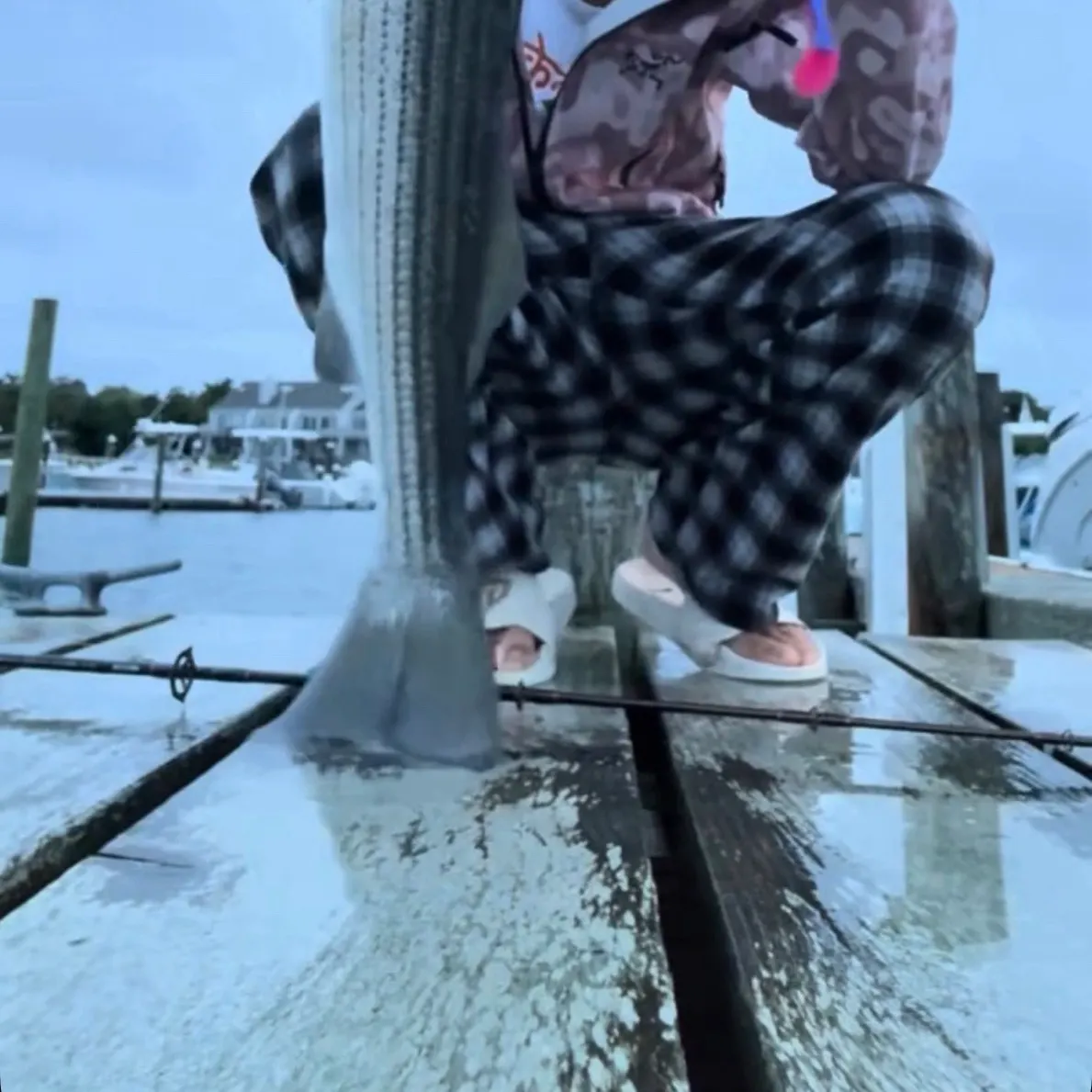 Striped bass caught on Fishbrain