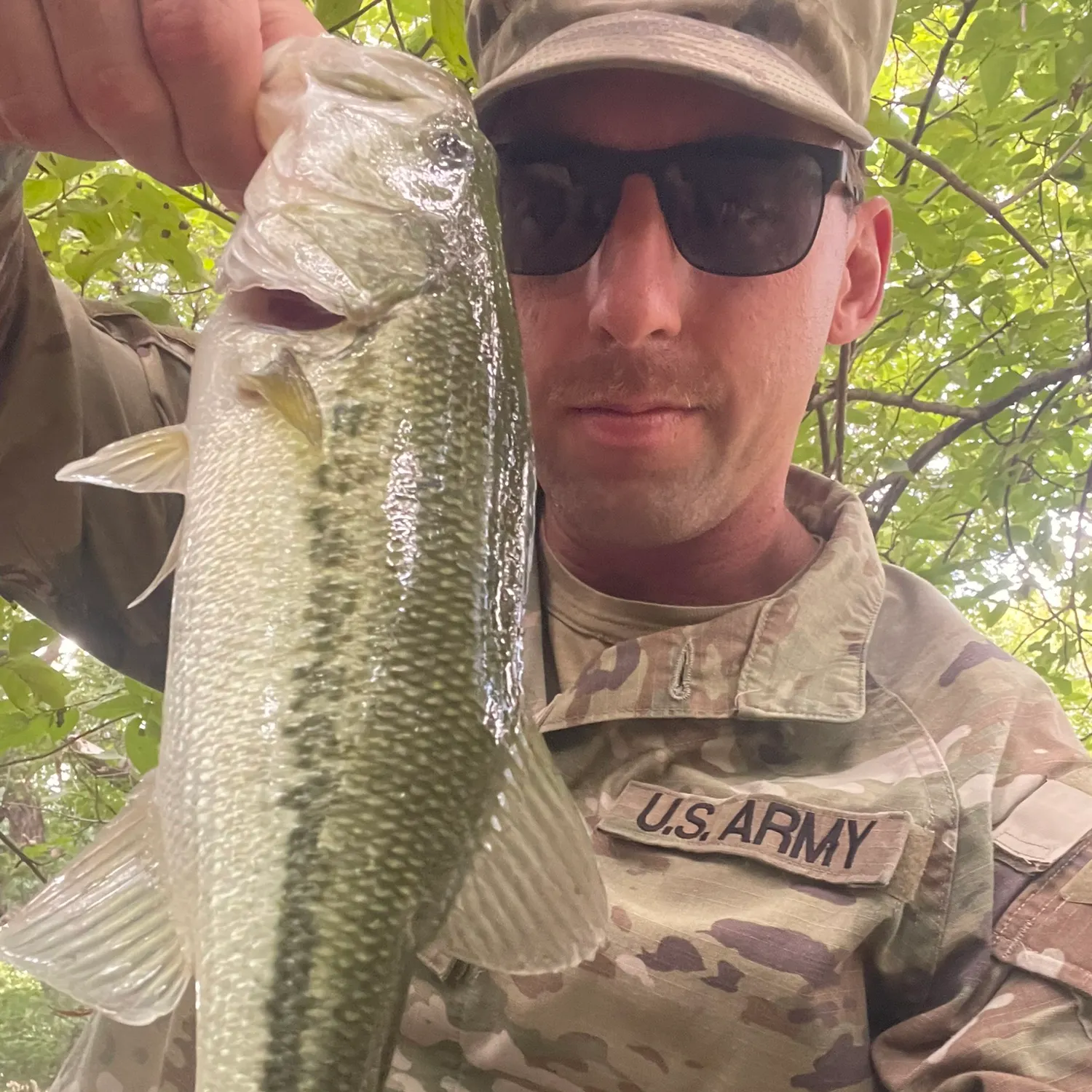 Largemouth bass caught on Fishbrain