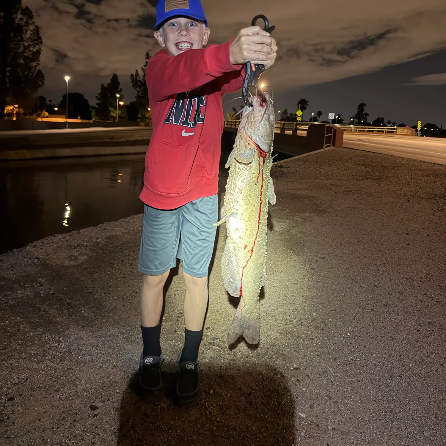 Channel catfish caught on Fishbrain