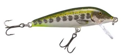 Countdown Minnow
