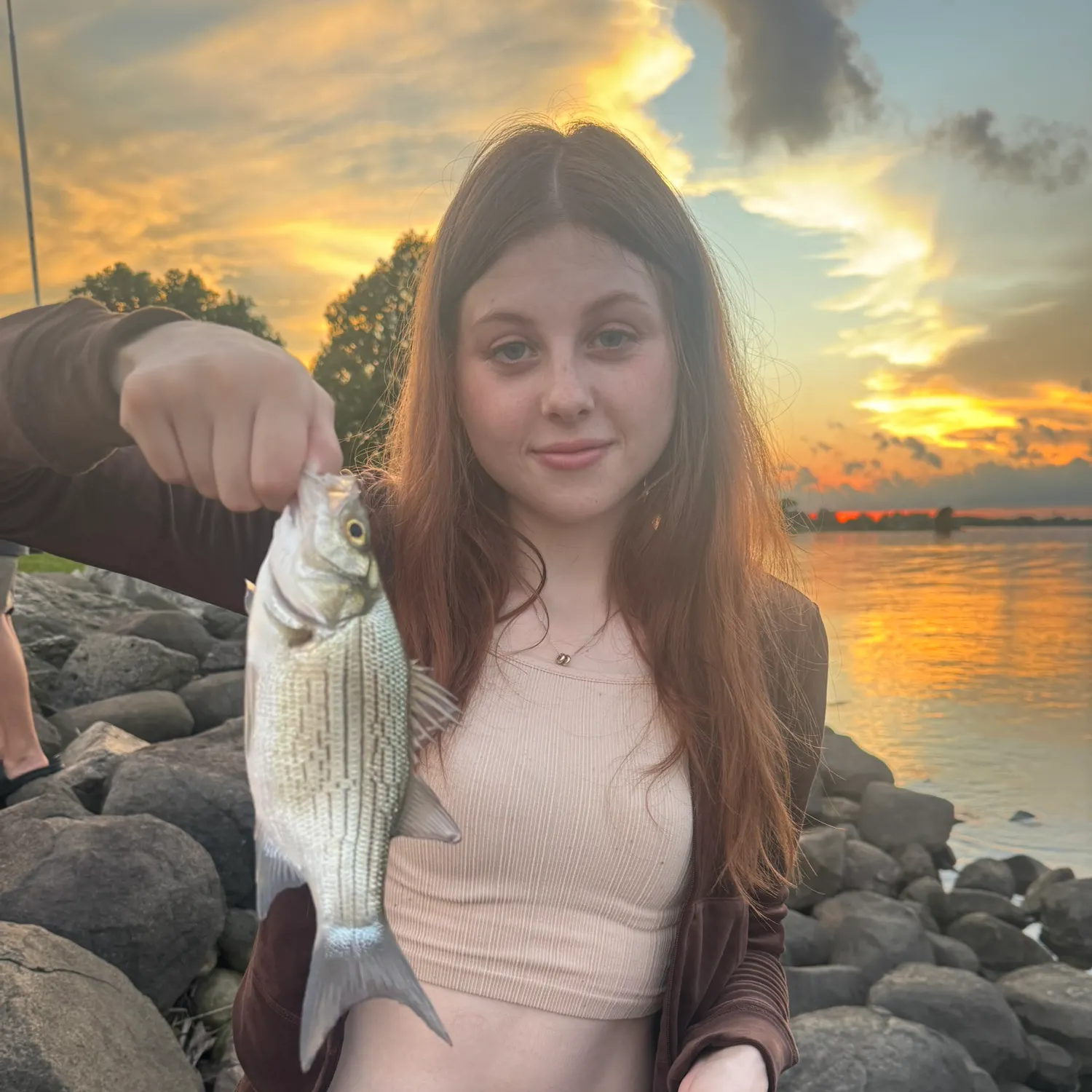 White bass caught on Fishbrain