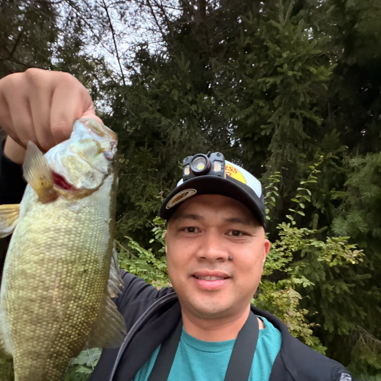 Smallmouth bass caught on Fishbrain