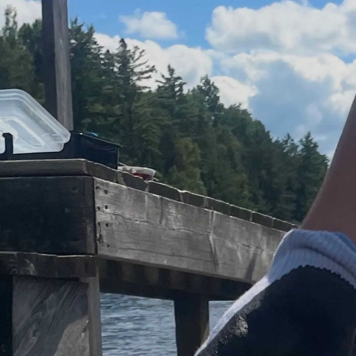 Smallmouth bass caught on Fishbrain