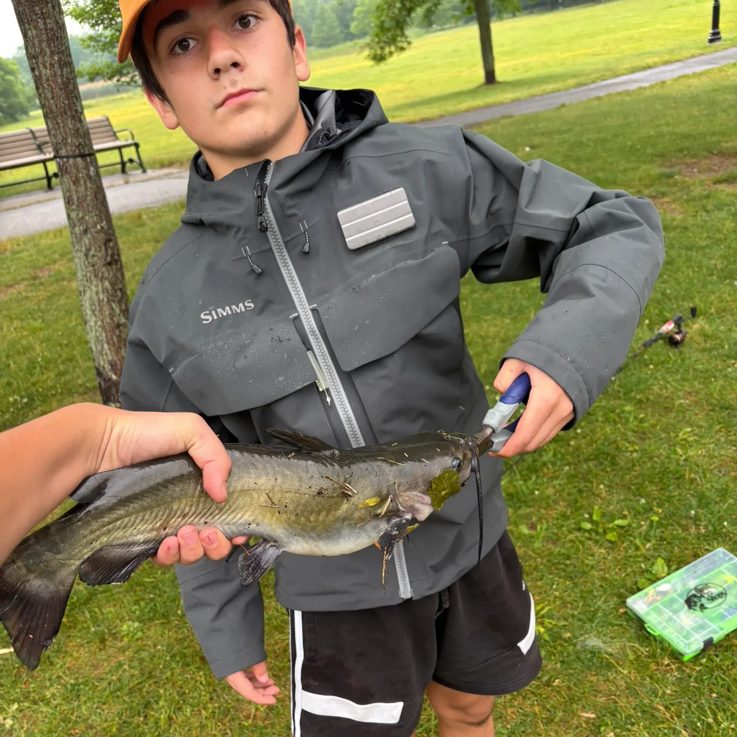catch