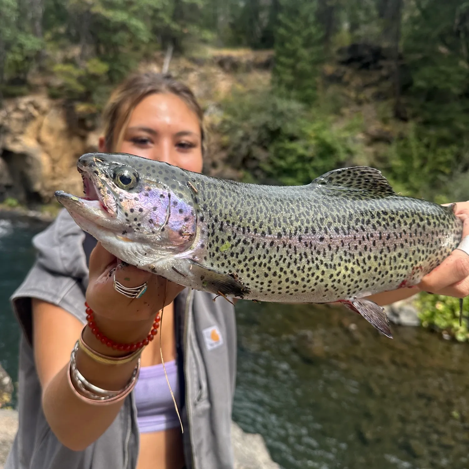 Rainbow trout caught on Fishbrain