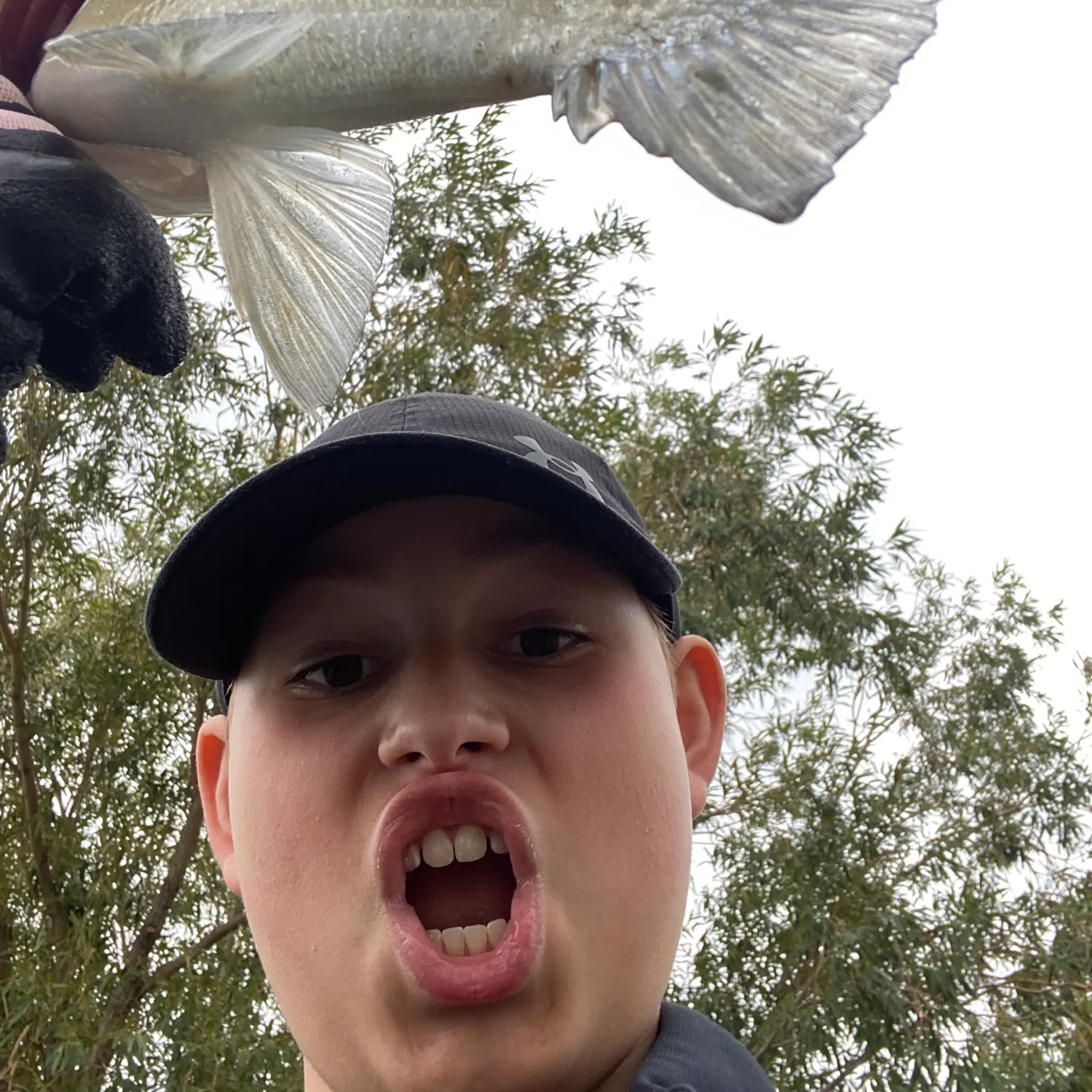 White bass caught on Fishbrain
