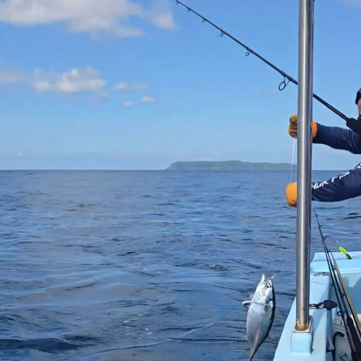 The most recent Pacific bonito catches on Fishbrain