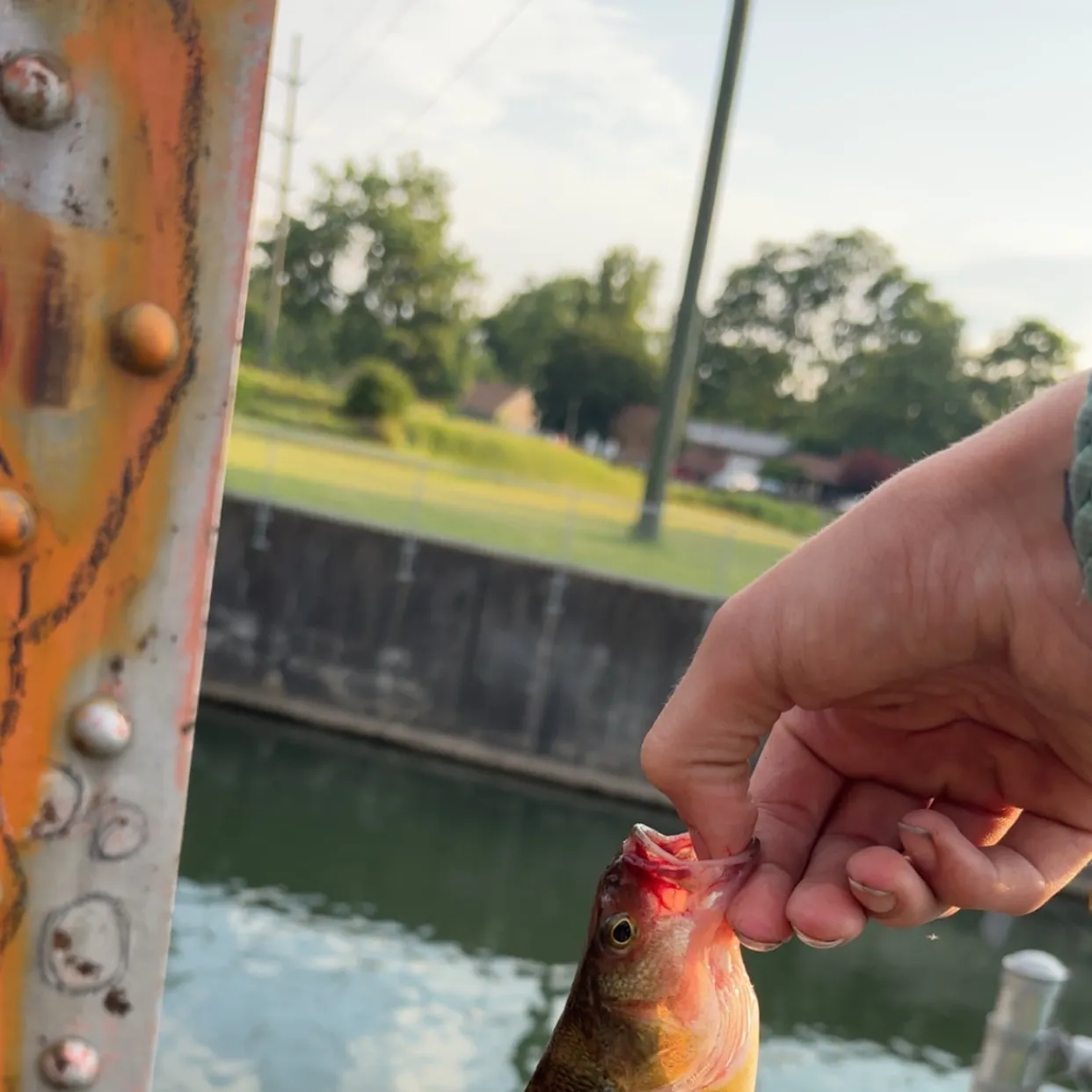 catch
