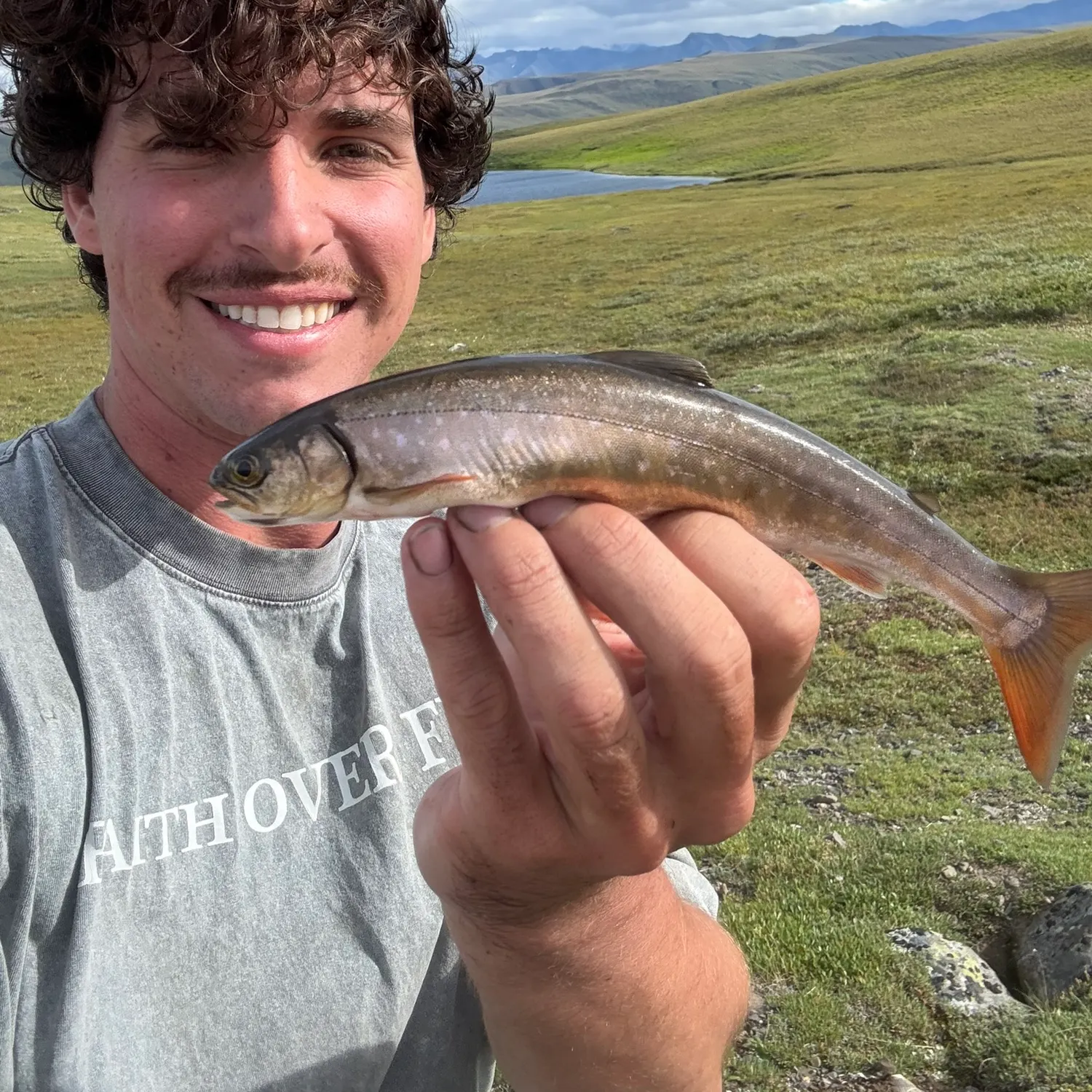 The most recent Arctic char catches on Fishbrain
