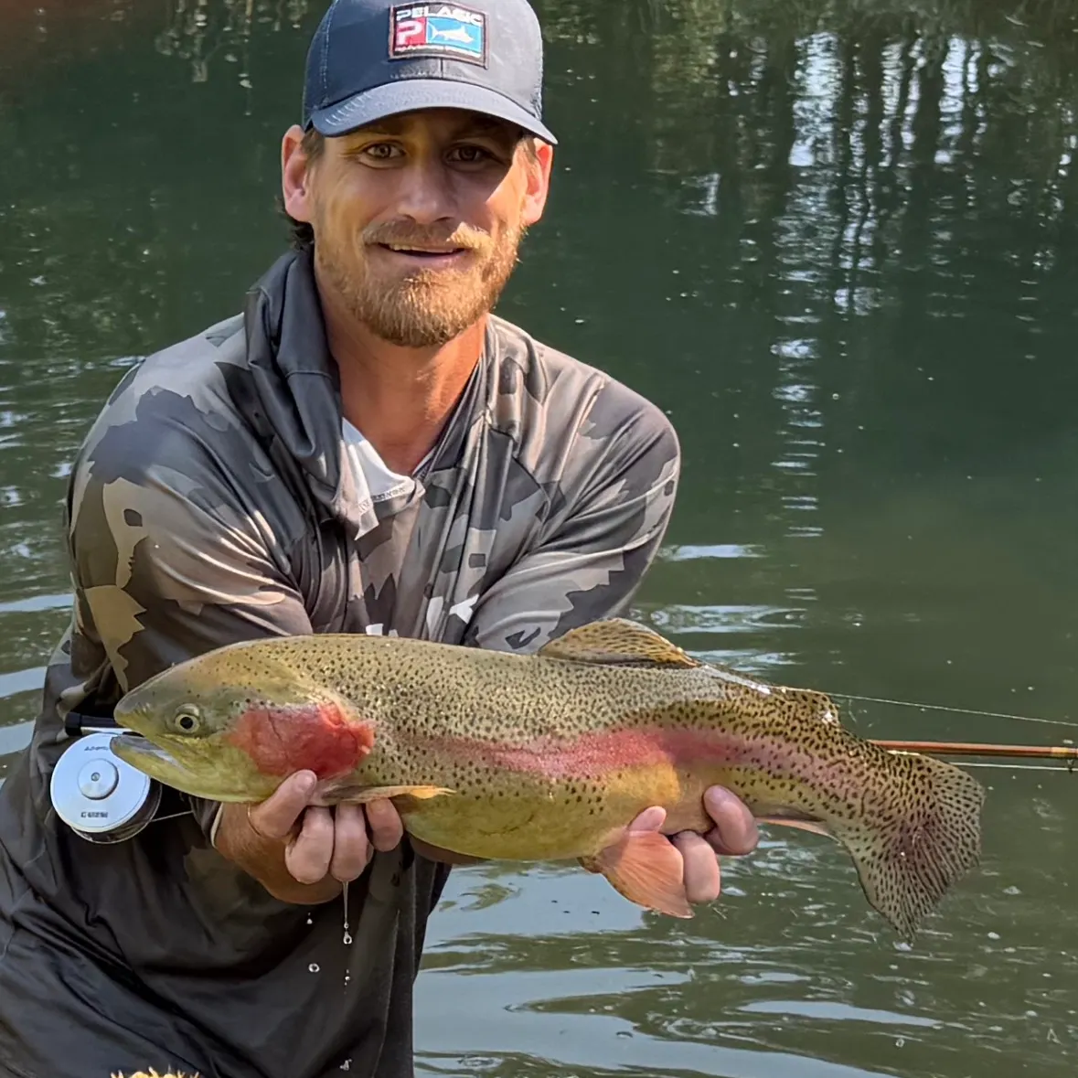 Rainbow trout caught on Fishbrain