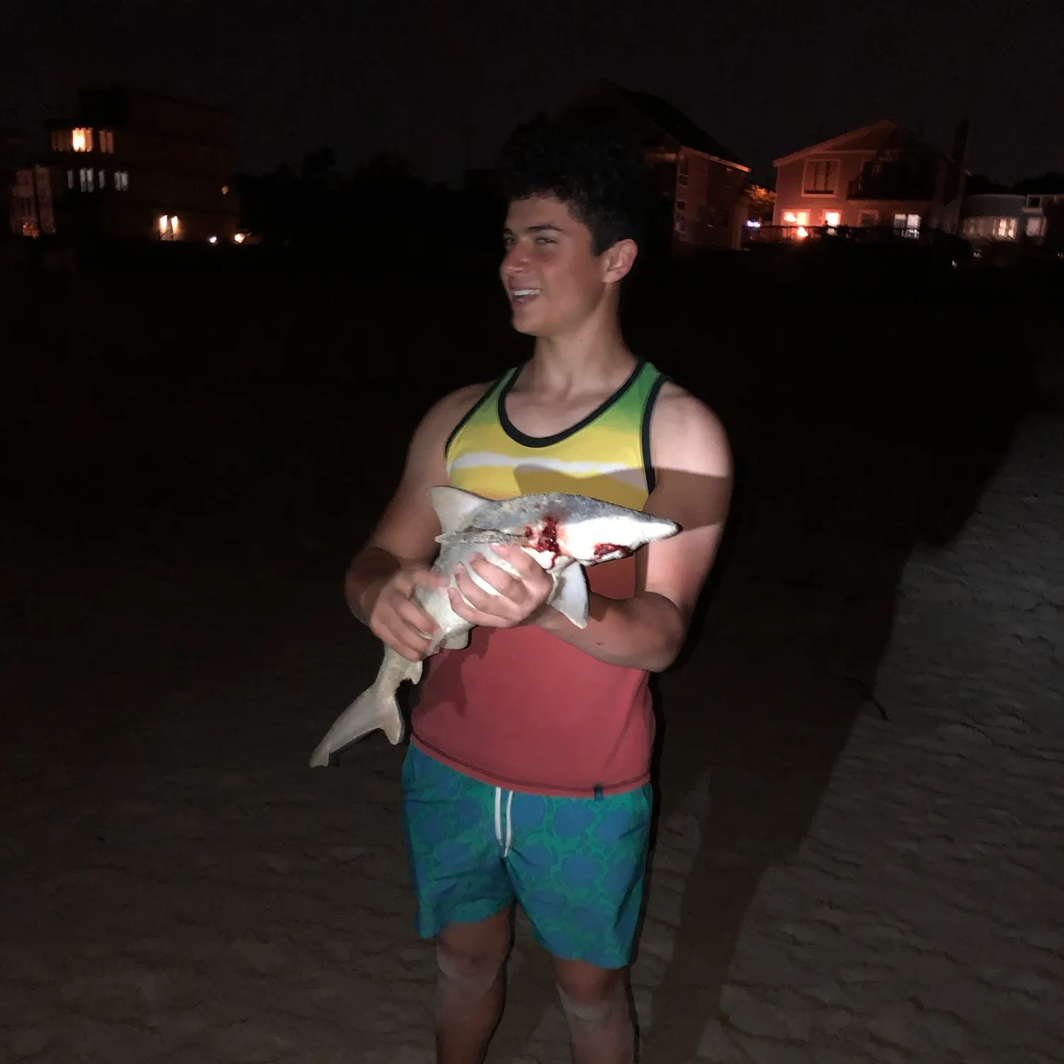 Sandbar shark caught on Fishbrain
