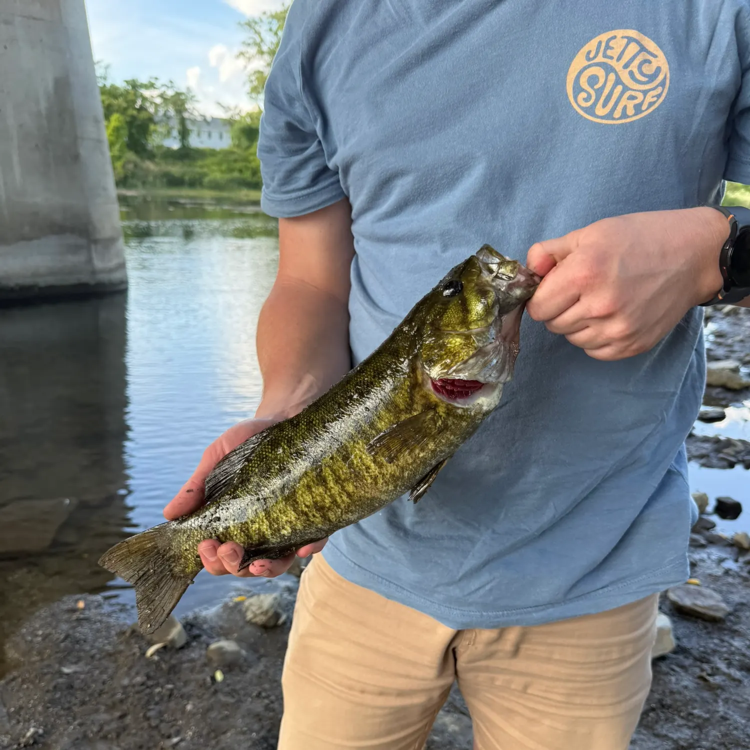 Smallmouth bass caught on Fishbrain