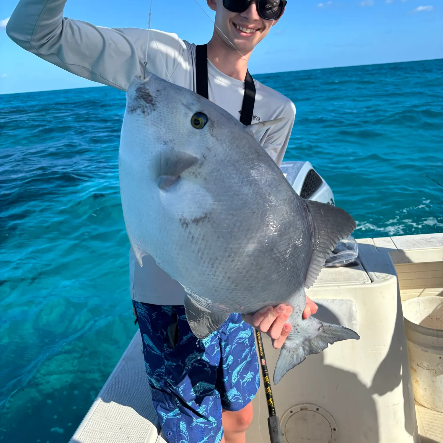Grey triggerfish caught on Fishbrain