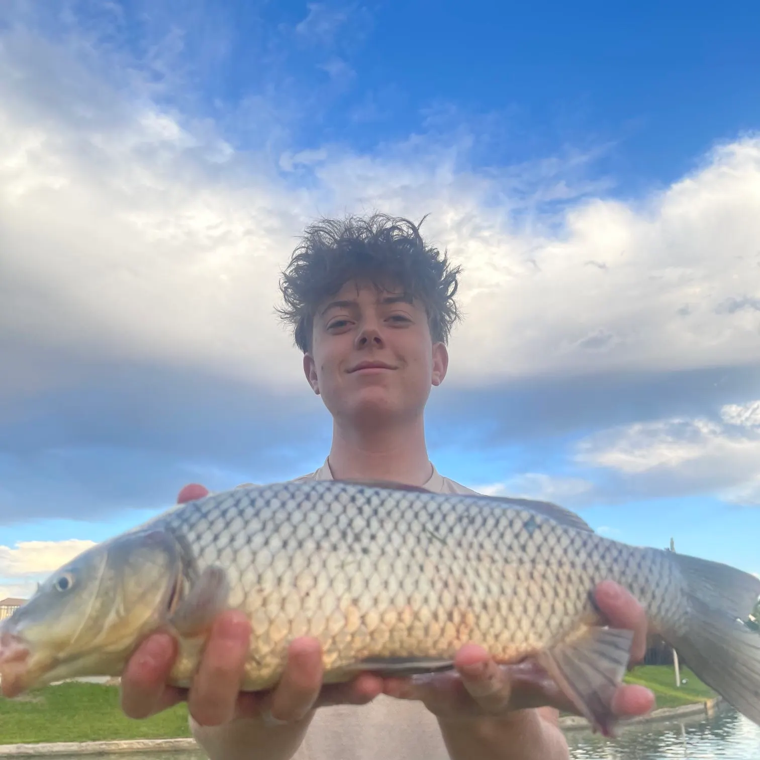 Common carp caught on Fishbrain