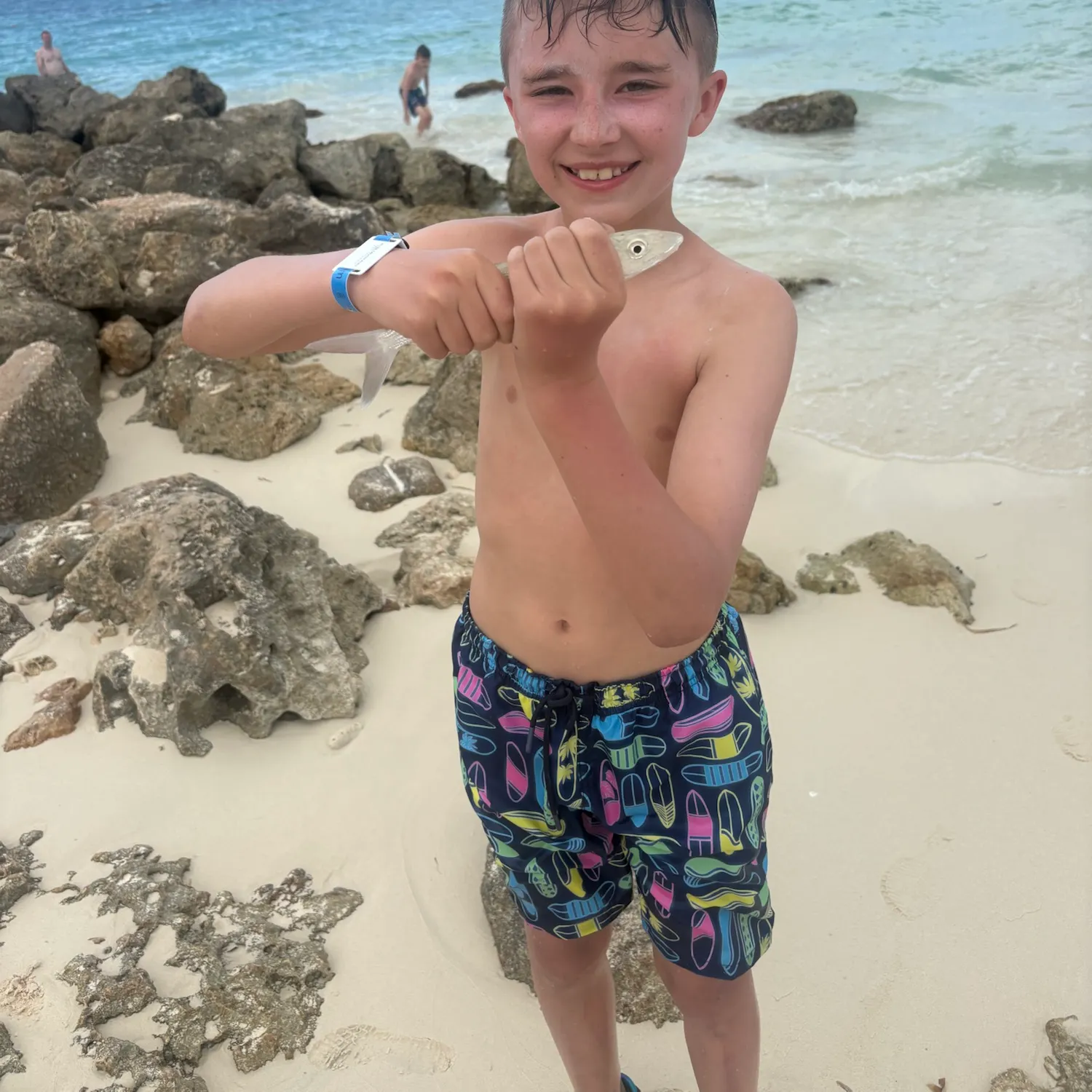 Great barracuda caught on Fishbrain