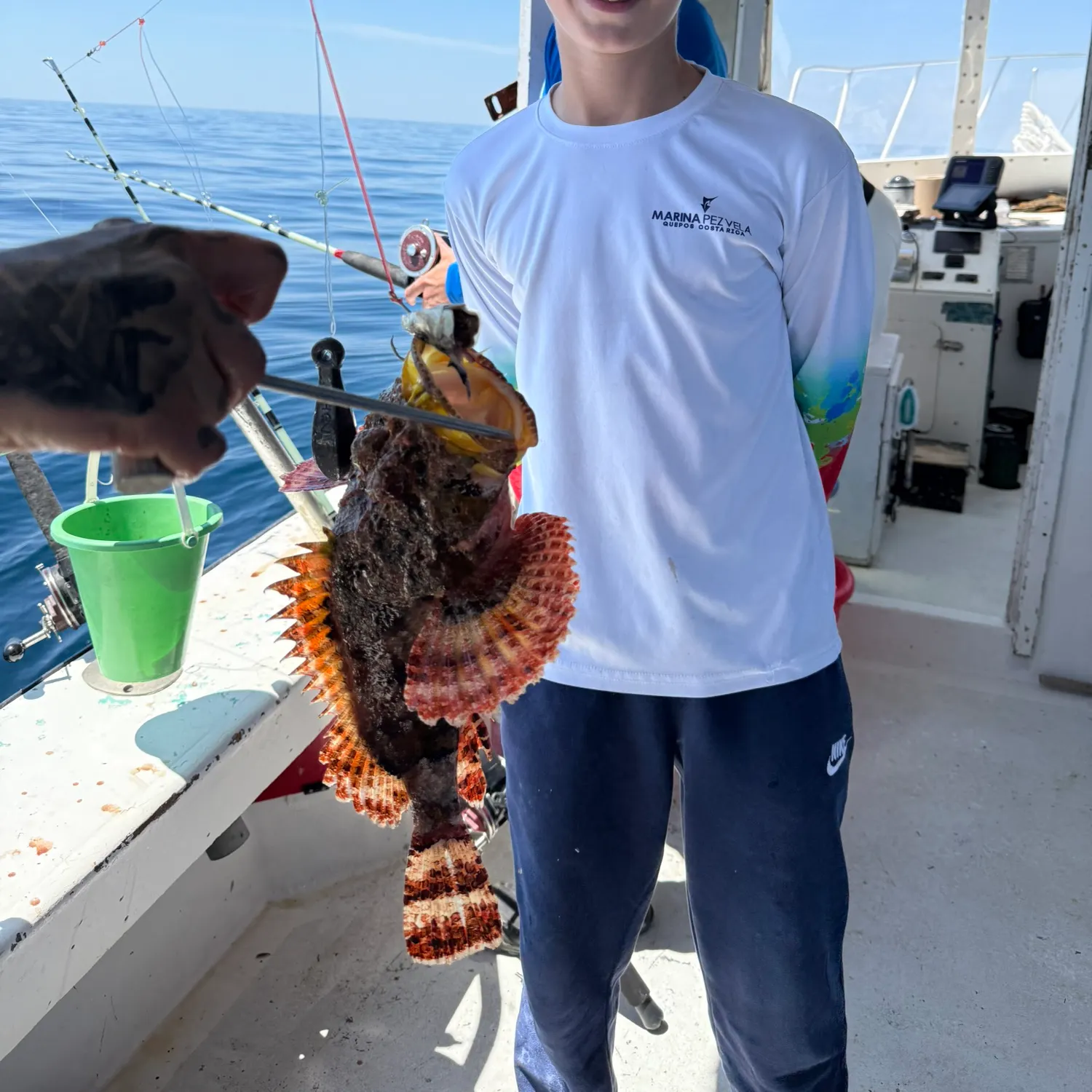 The most recent Eastern Red Scorpionfish catches on Fishbrain