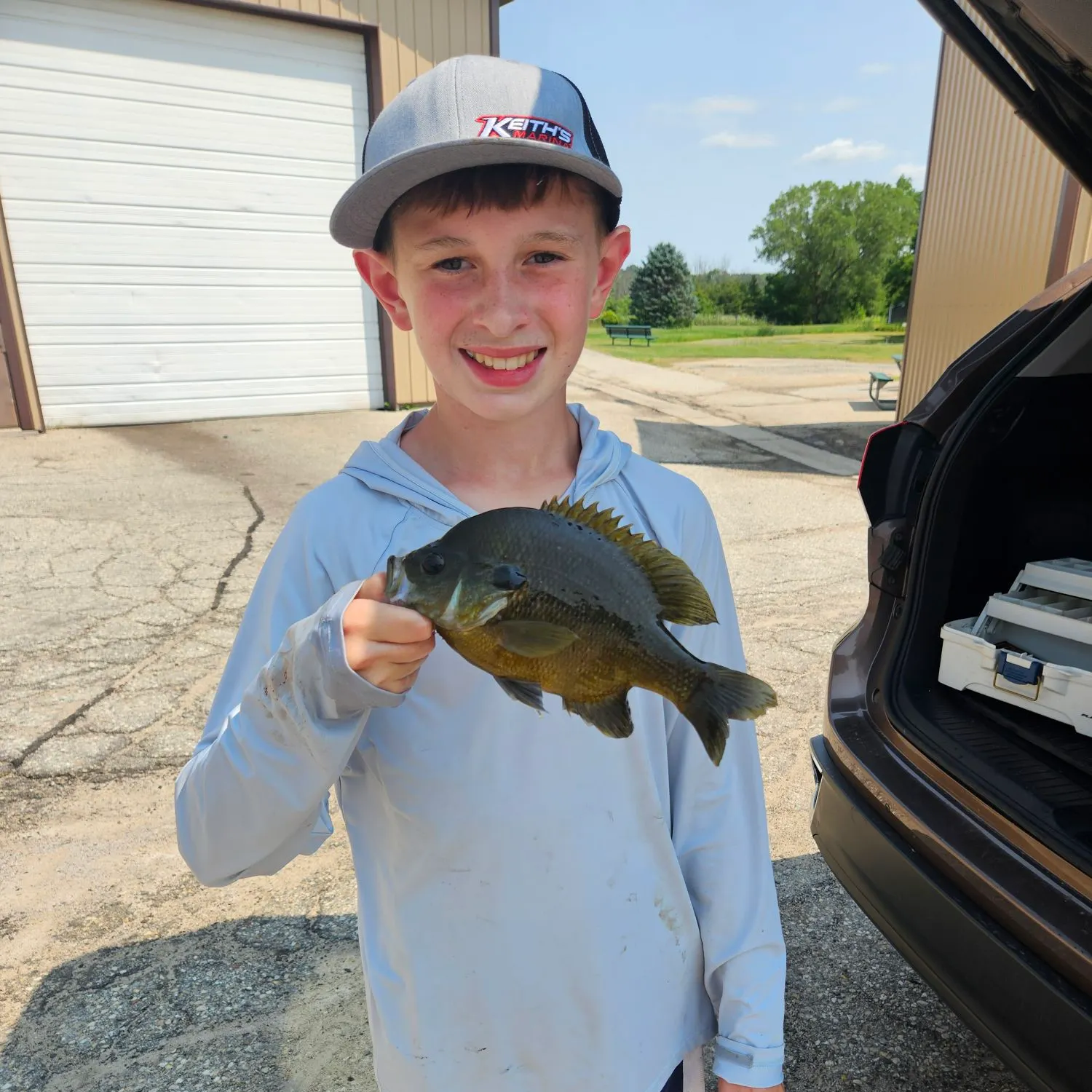 Bluegill caught on Fishbrain