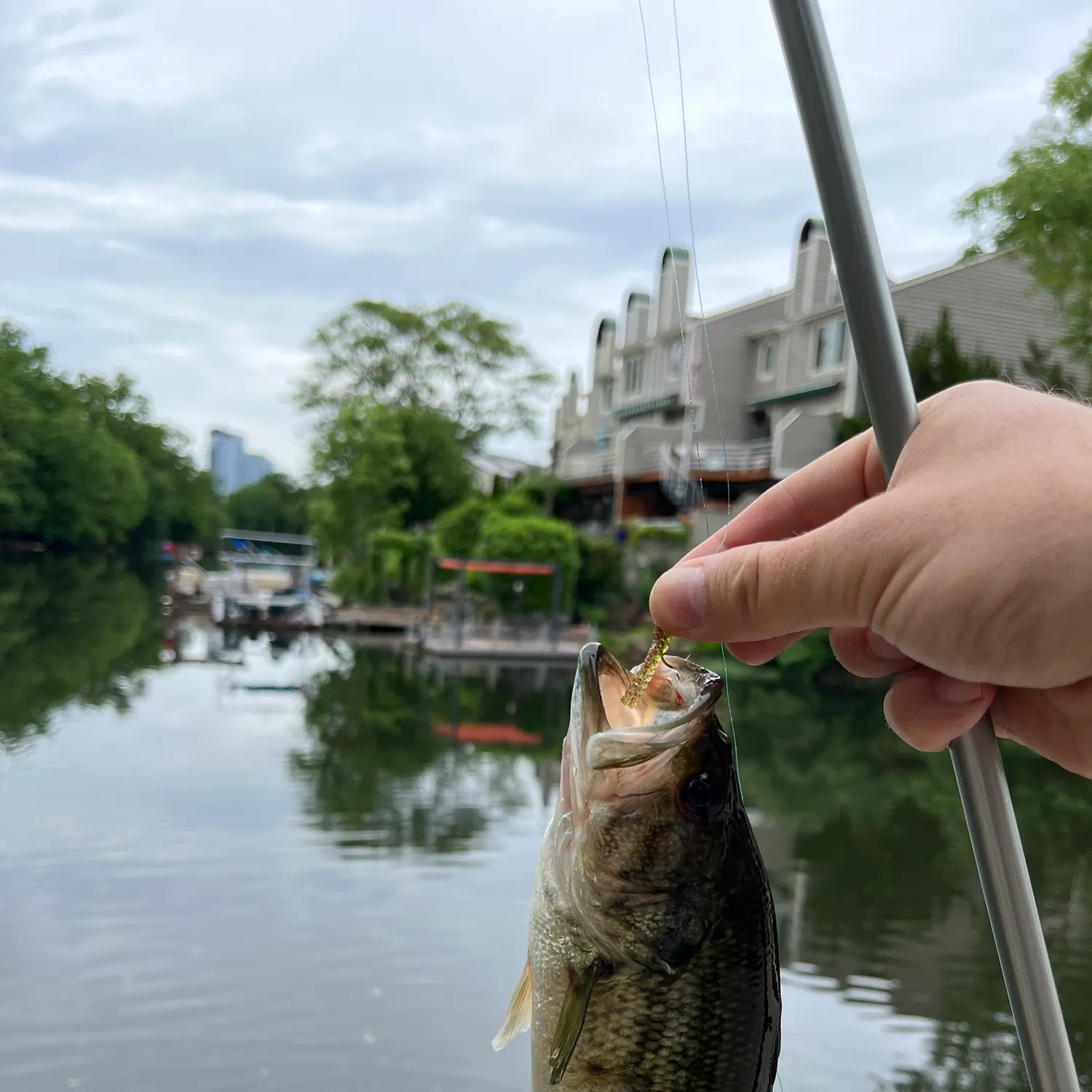 catch