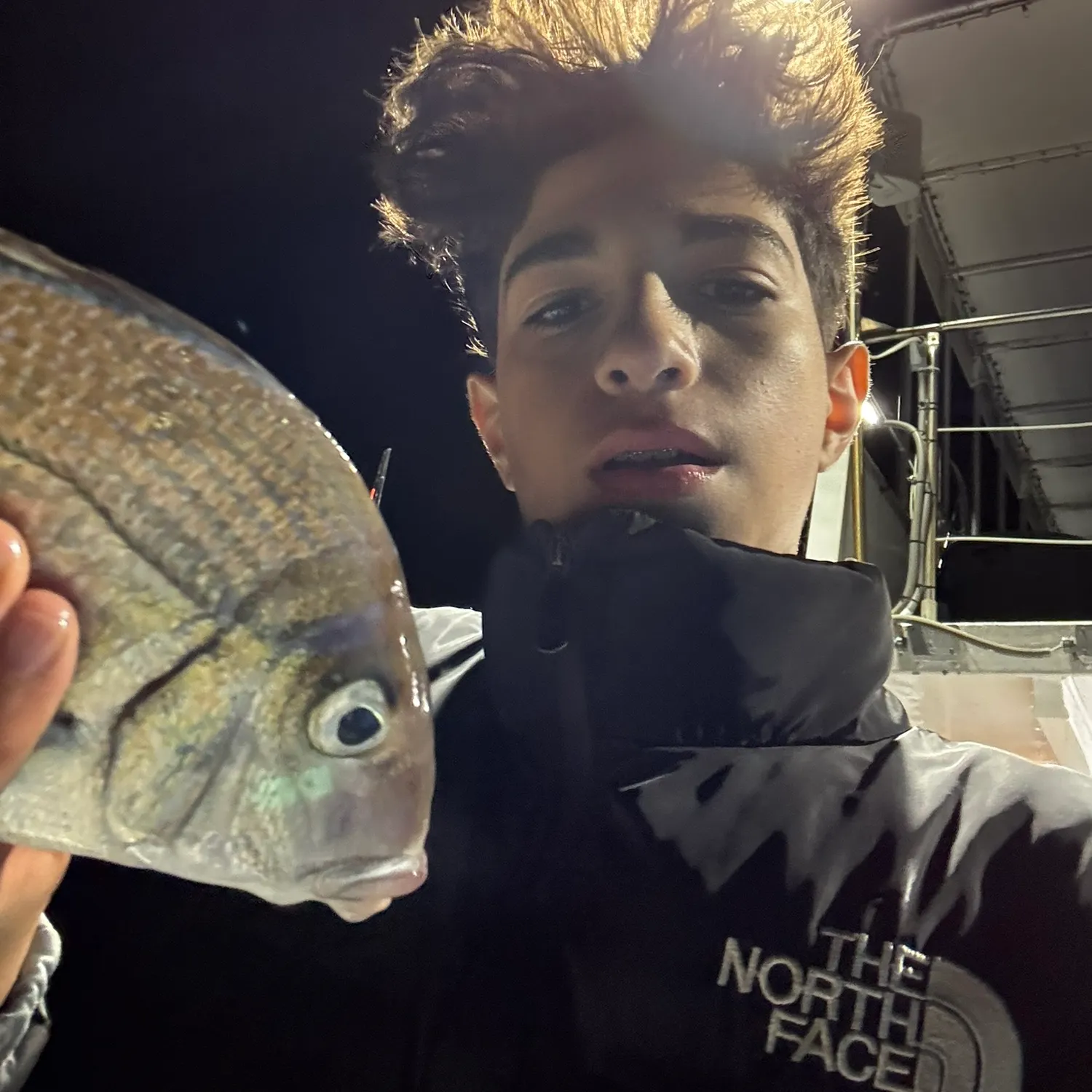 The most recent Longspine porgy catches on Fishbrain