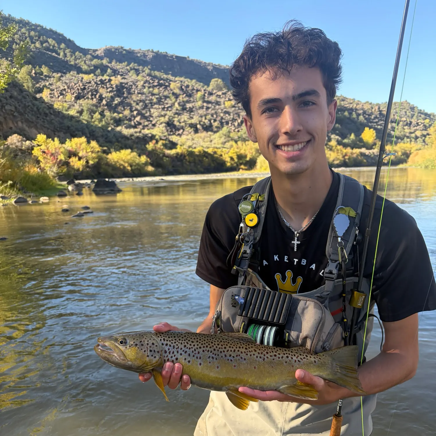 Brown trout caught on Fishbrain