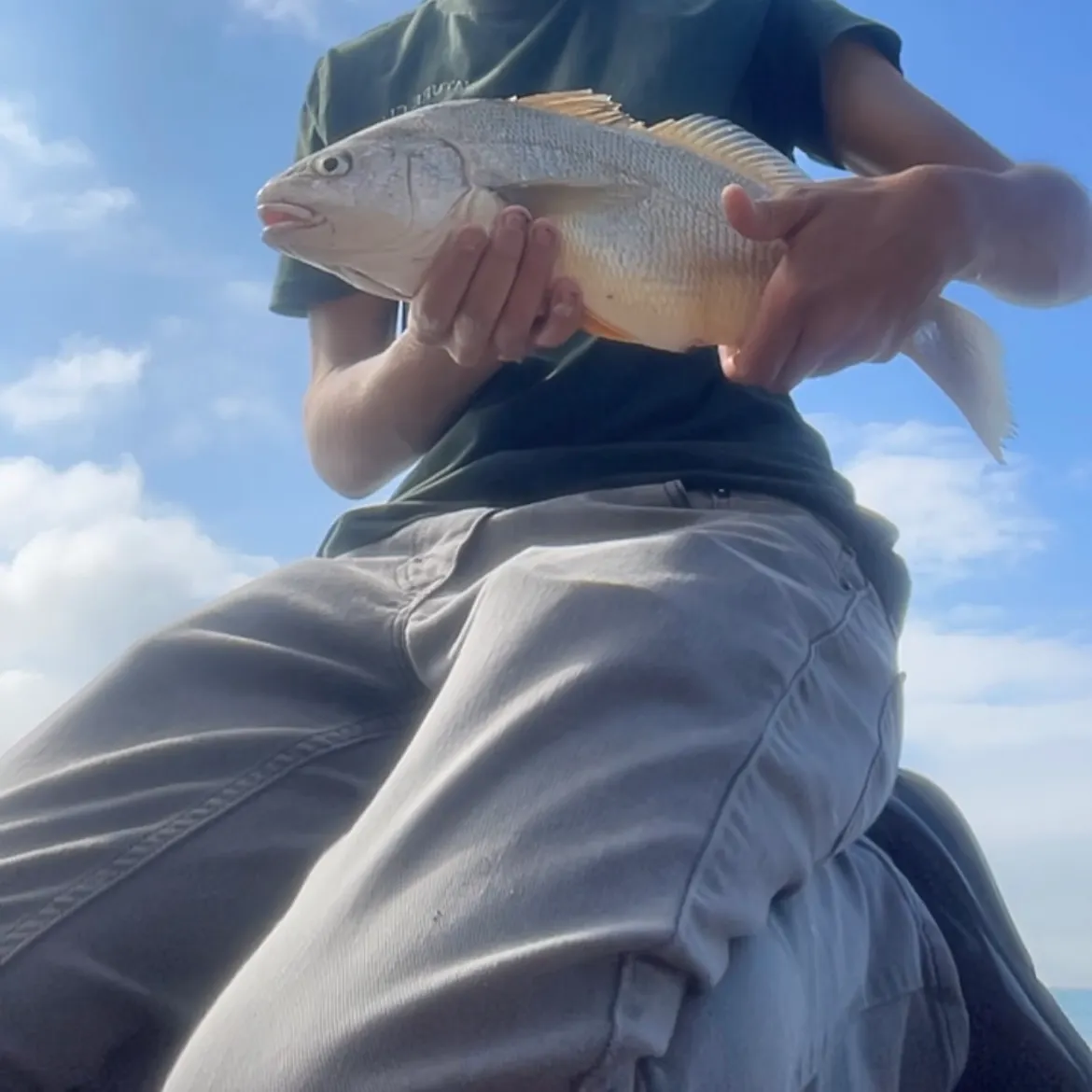 Freshwater drum caught on Fishbrain