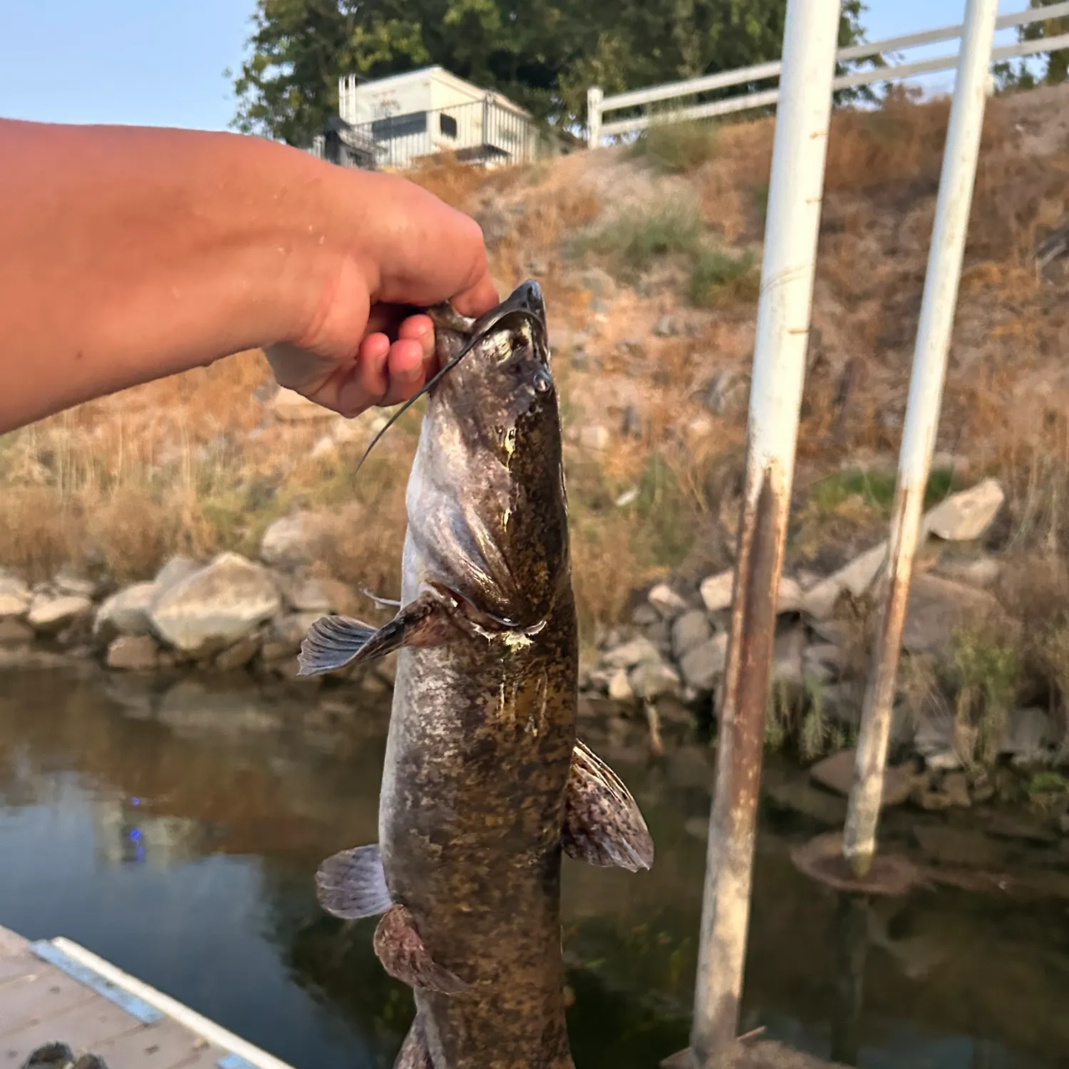 catch