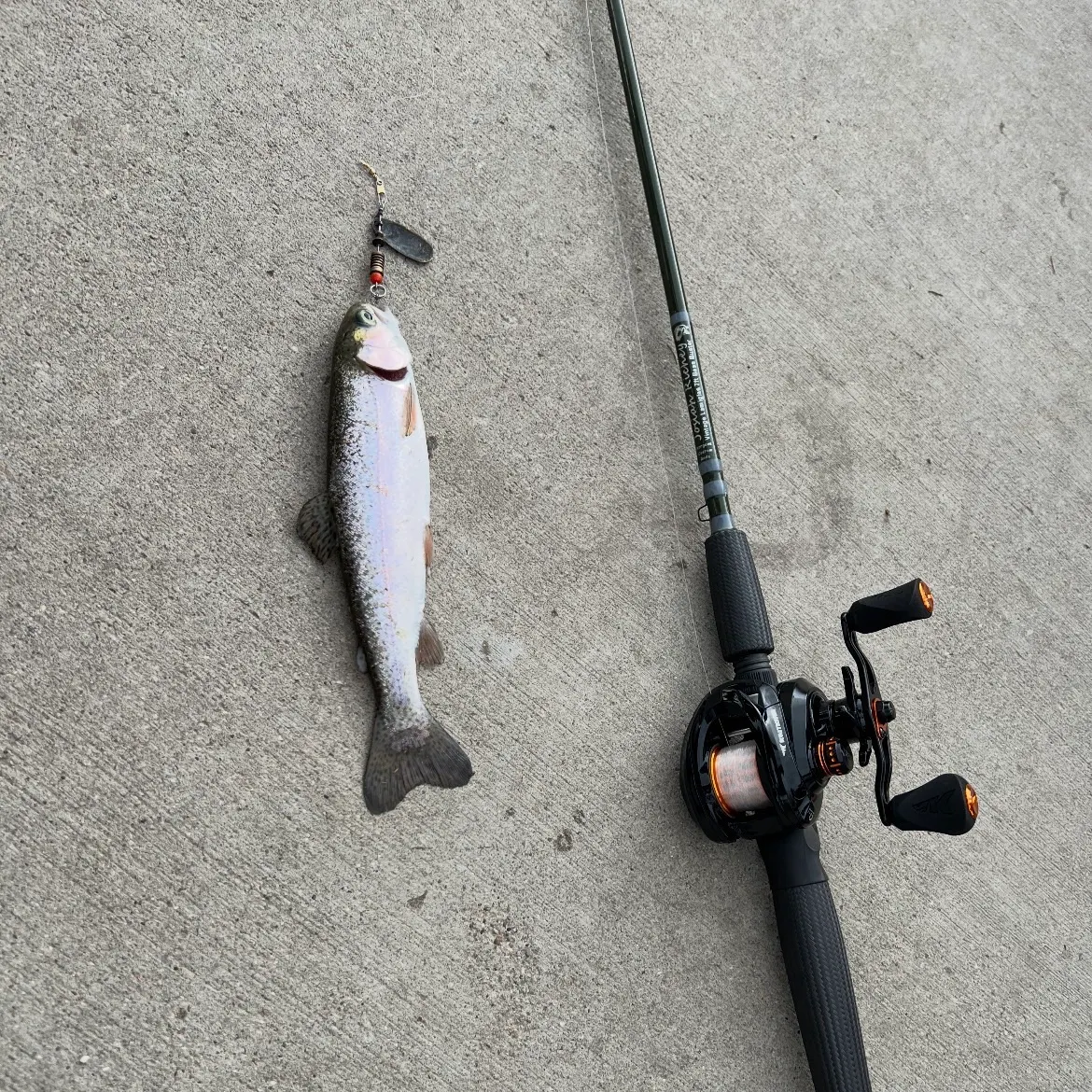 Rainbow trout caught on Fishbrain