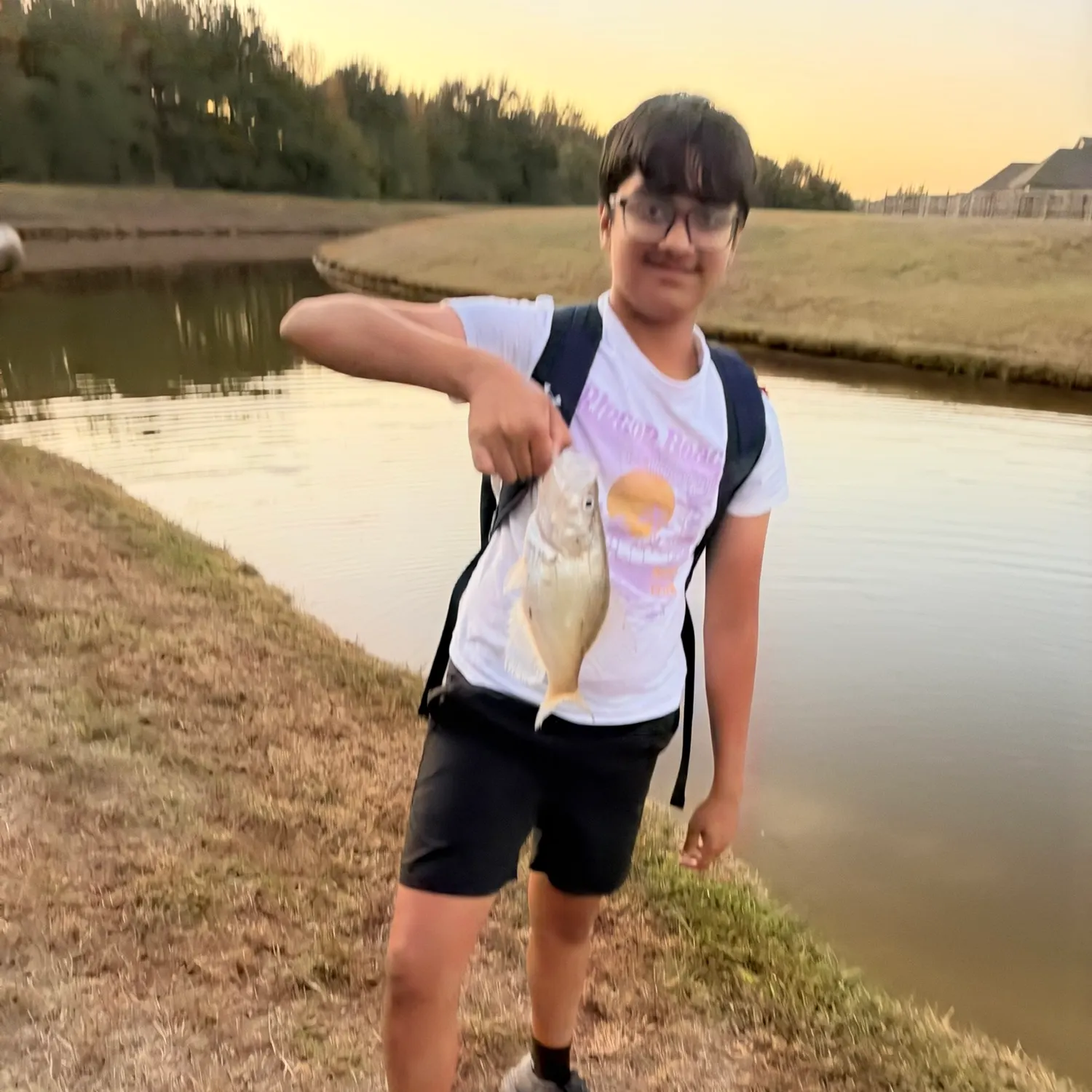 White crappie caught on Fishbrain