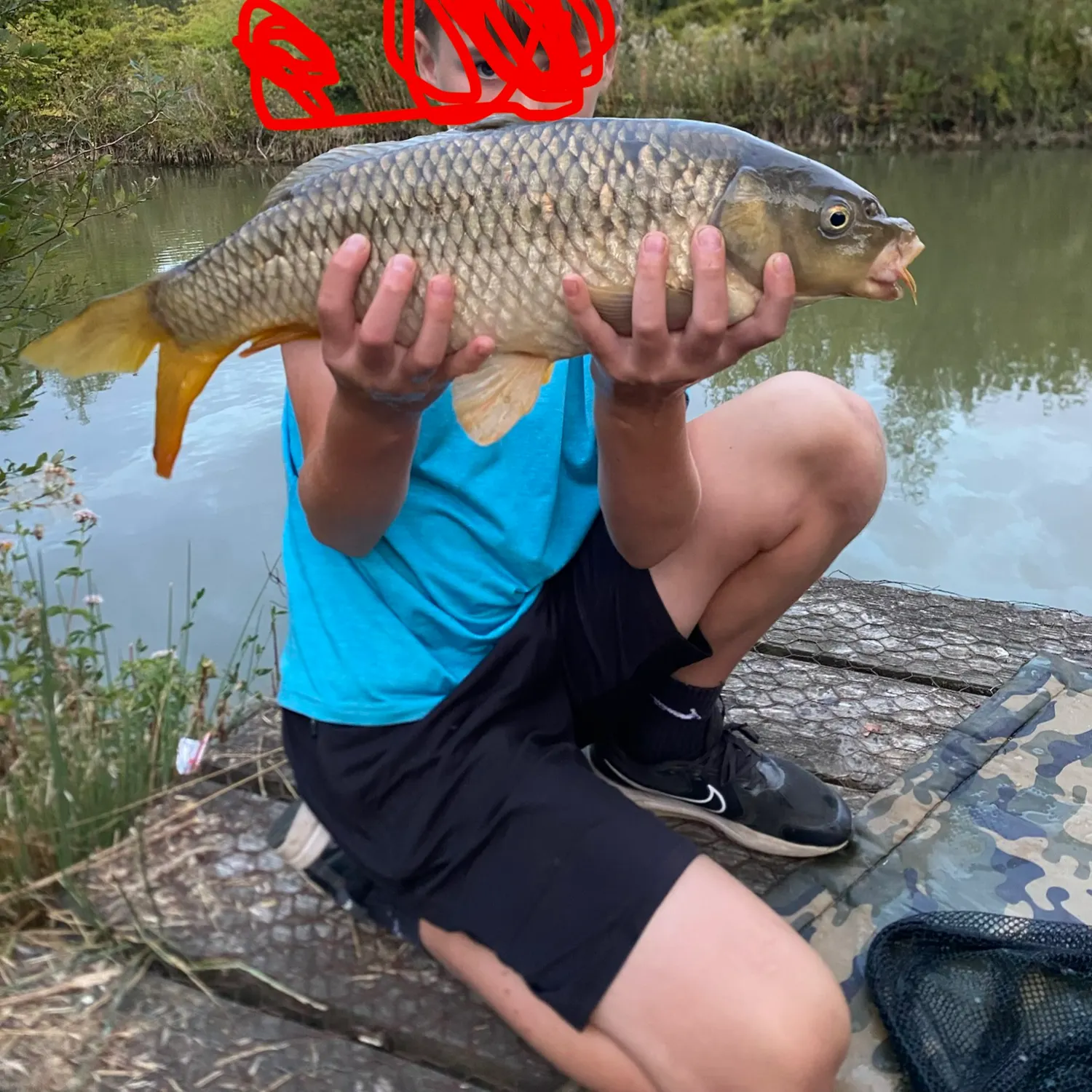 Common carp caught on Fishbrain