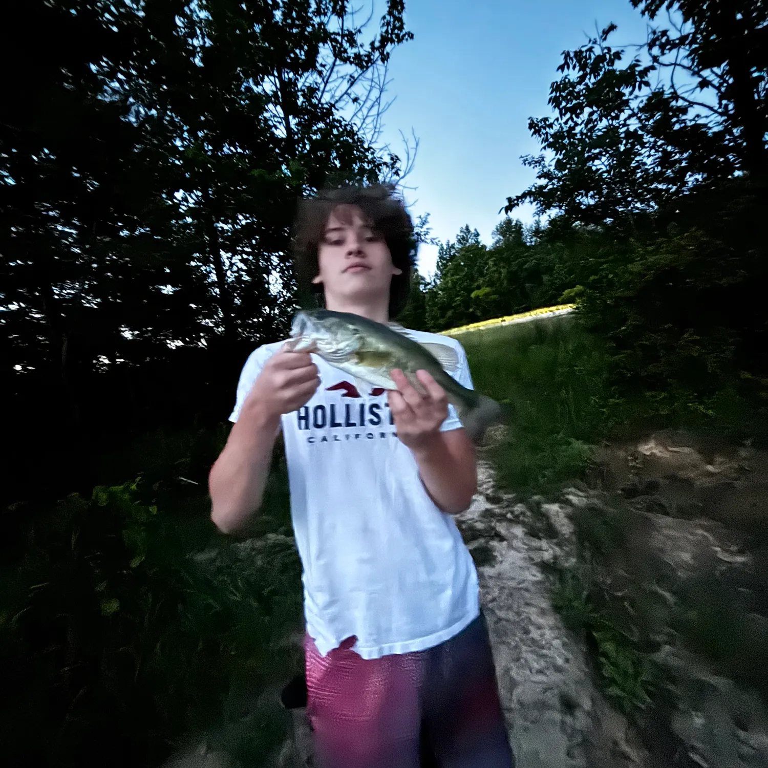 The most recent Spotted bass catches on Fishbrain