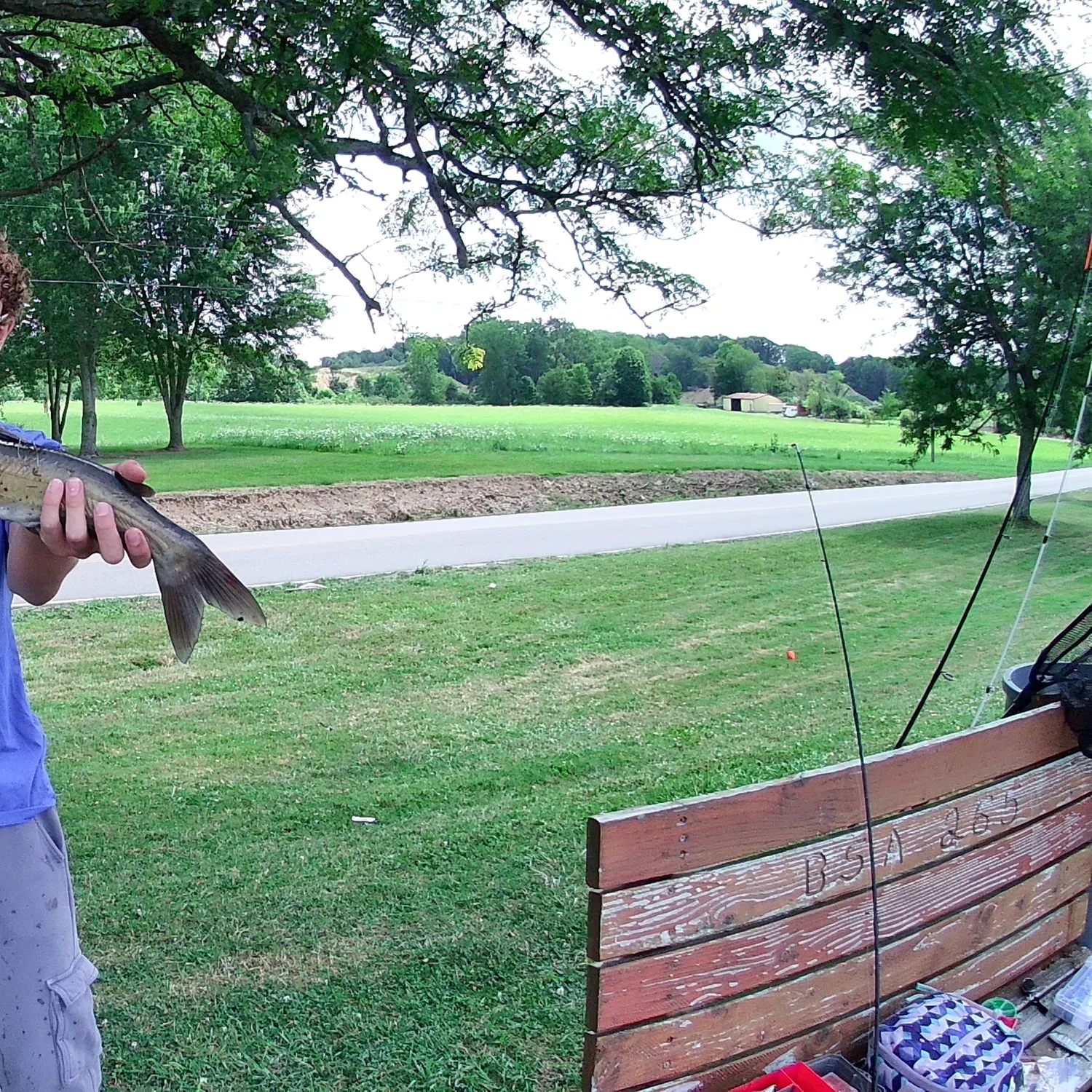 Channel catfish caught on Fishbrain