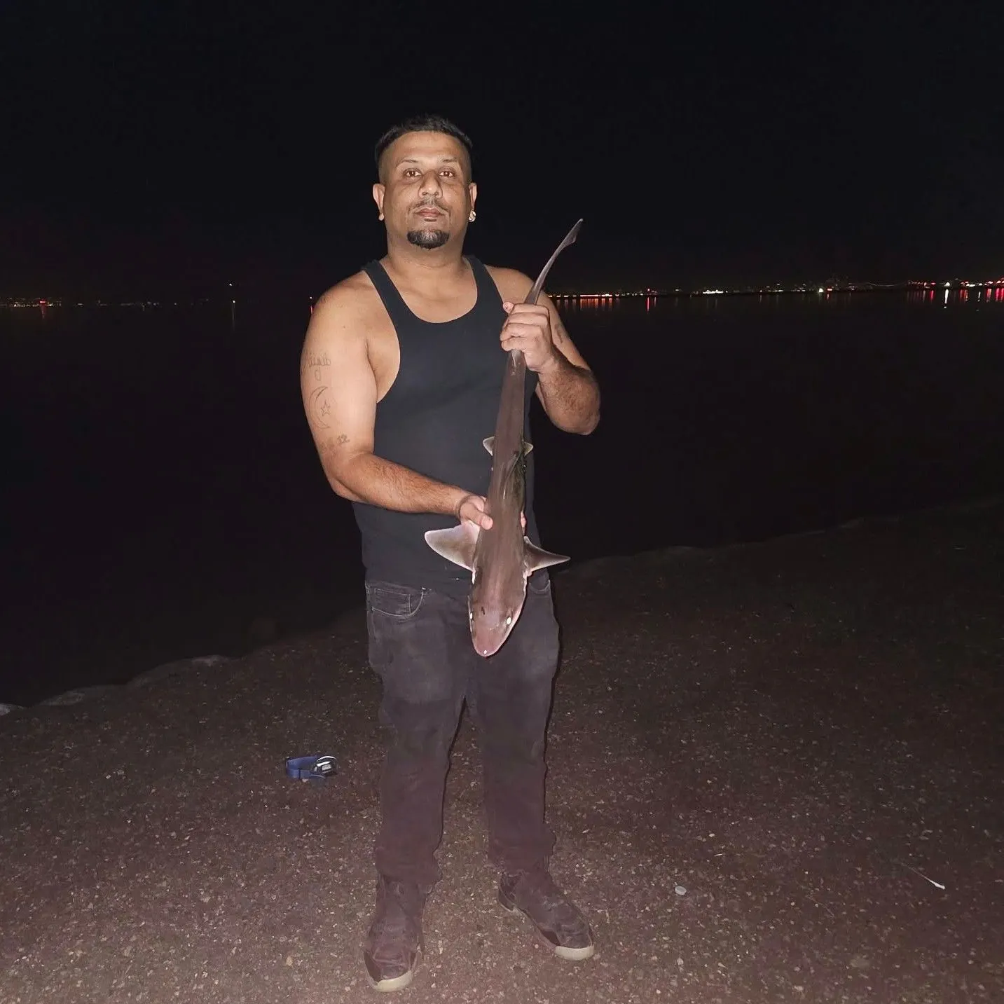 The most recent Brown smooth-hound catches on Fishbrain