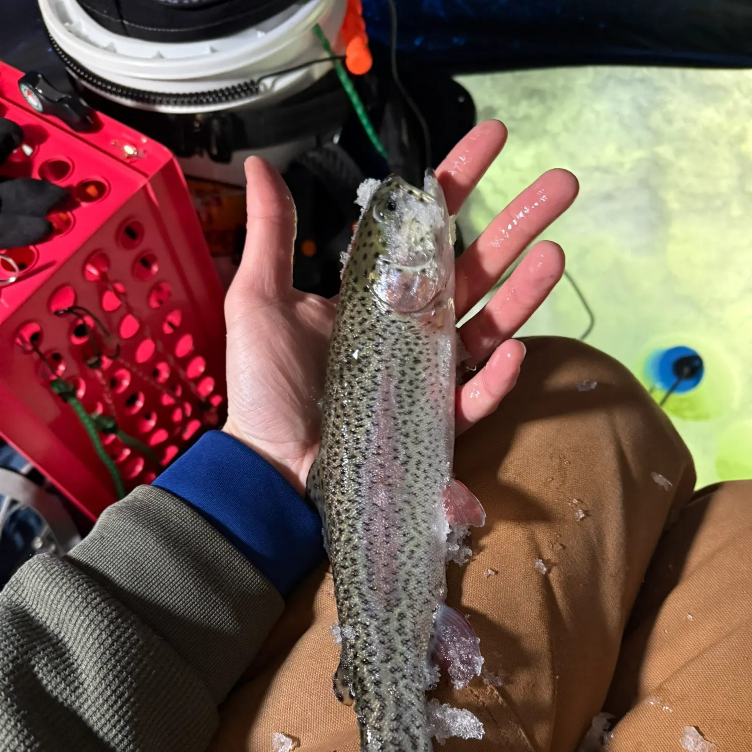 recently logged catches