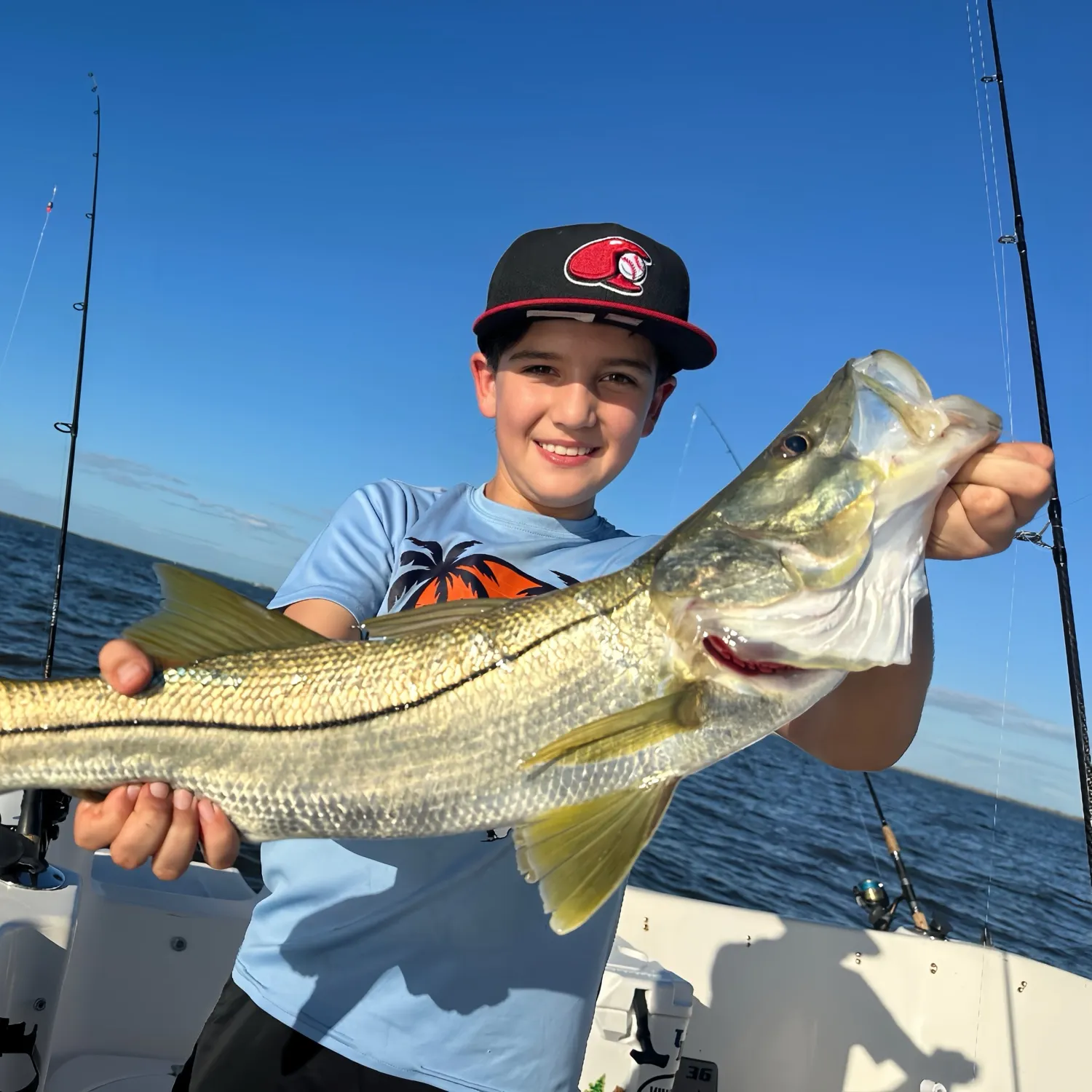 Common snook caught on Fishbrain