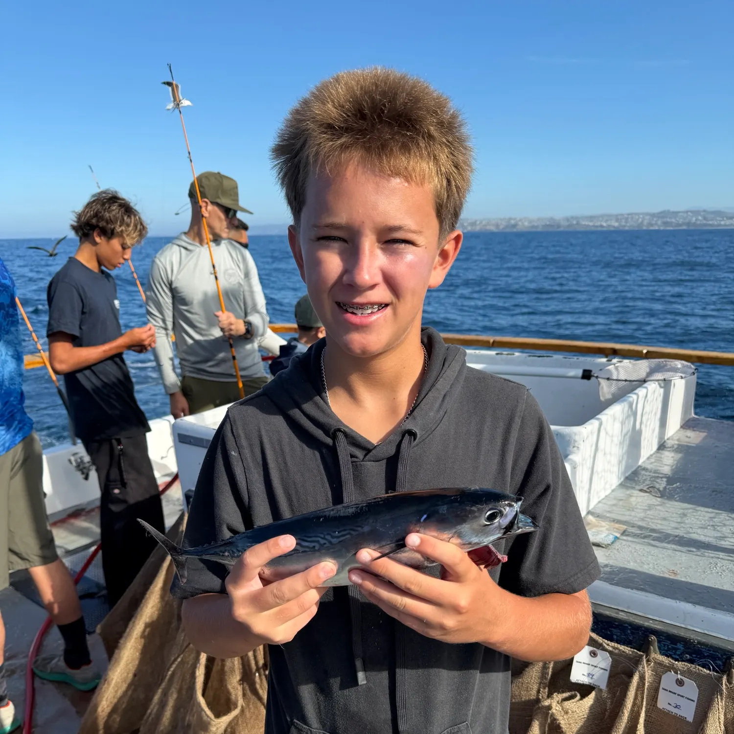 The most recent Bullet tuna catches on Fishbrain