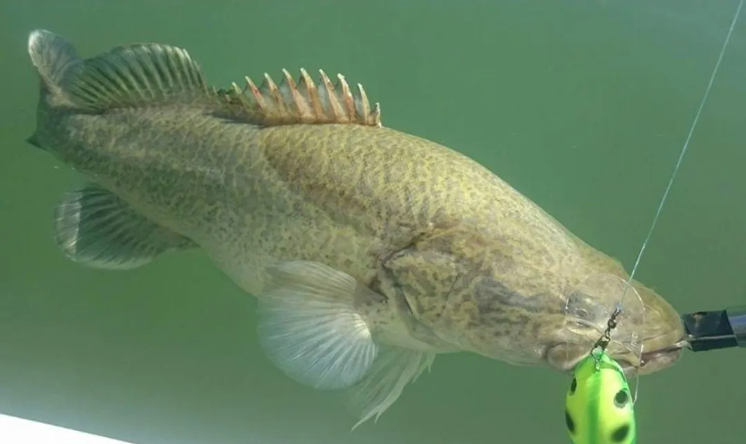 Post image from Aaron.H1976