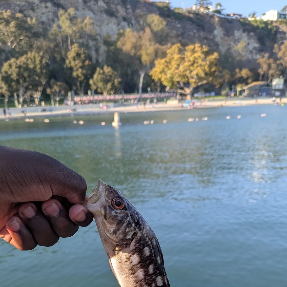 catch