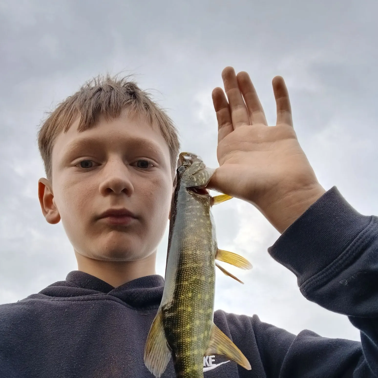Northern pike caught on Fishbrain