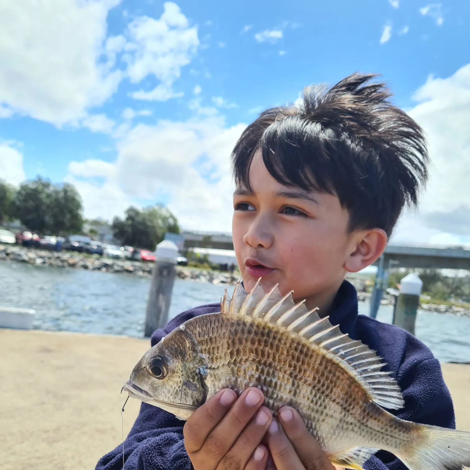 The most recent Surf bream catches on Fishbrain