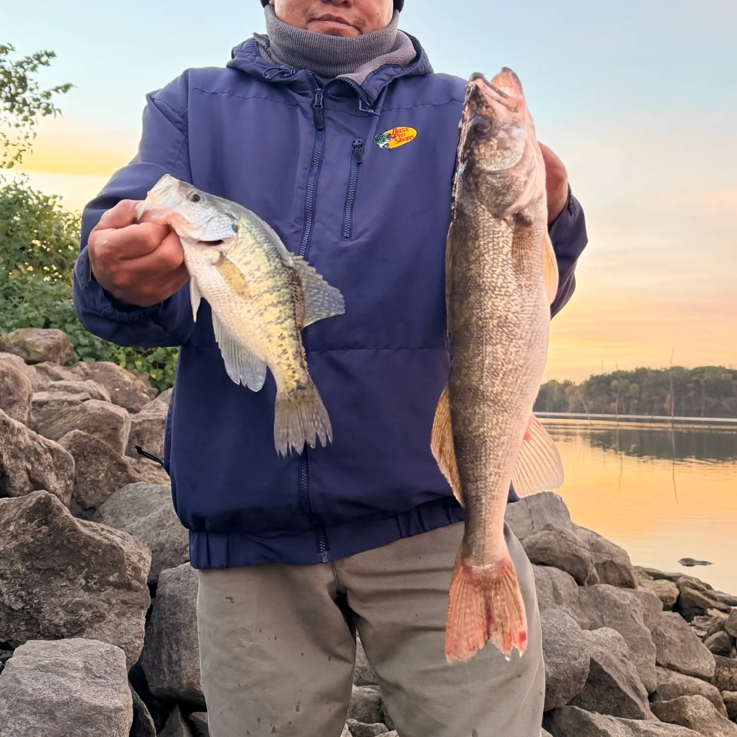 Walleye caught on Fishbrain