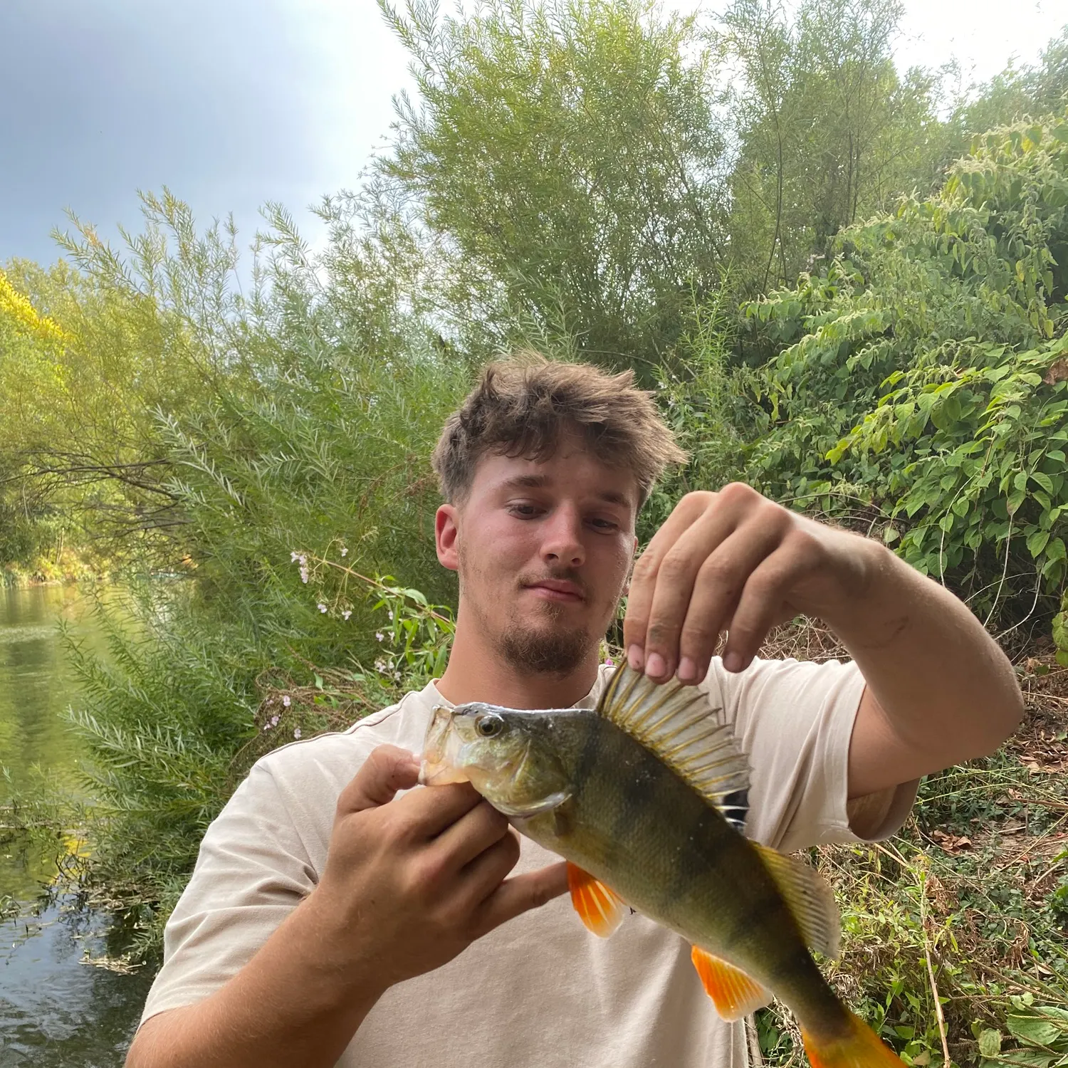 European perch caught on Fishbrain