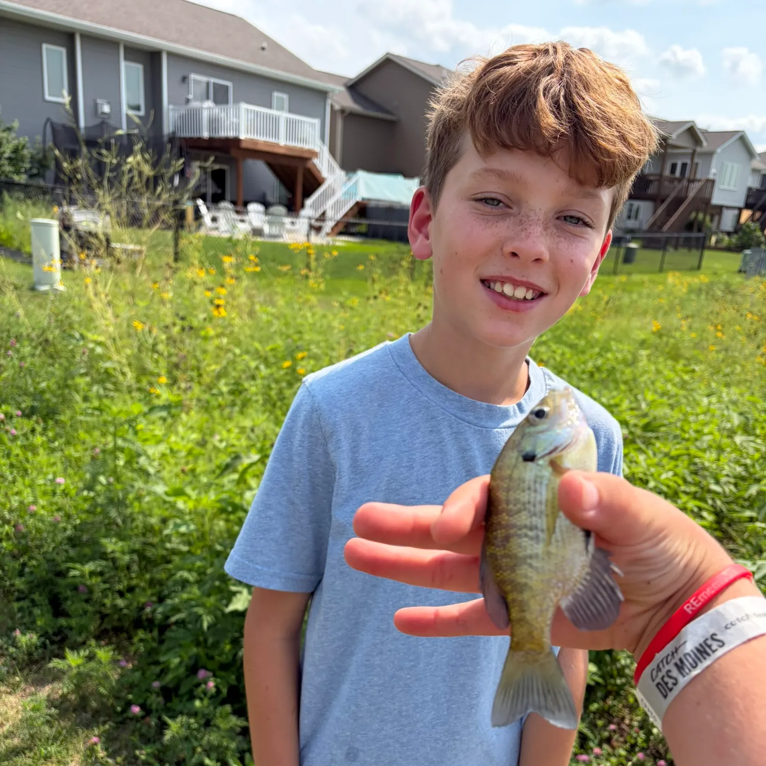 Bluegill caught on Fishbrain