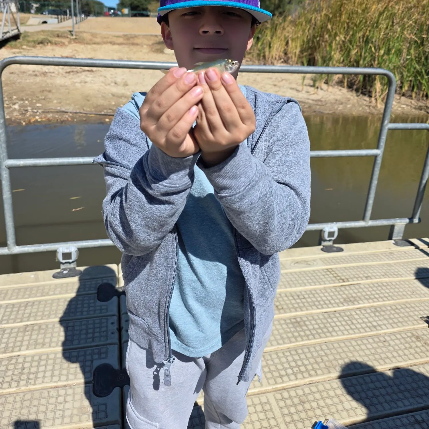 The most recent Banded tetra catches on Fishbrain