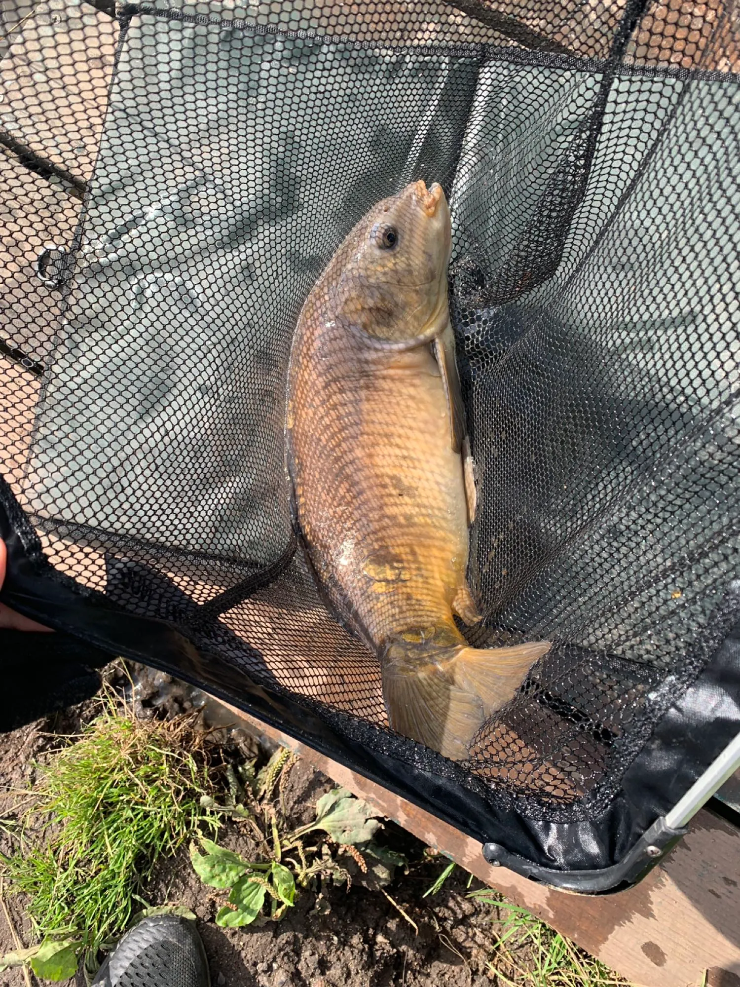 Post image from sienna13