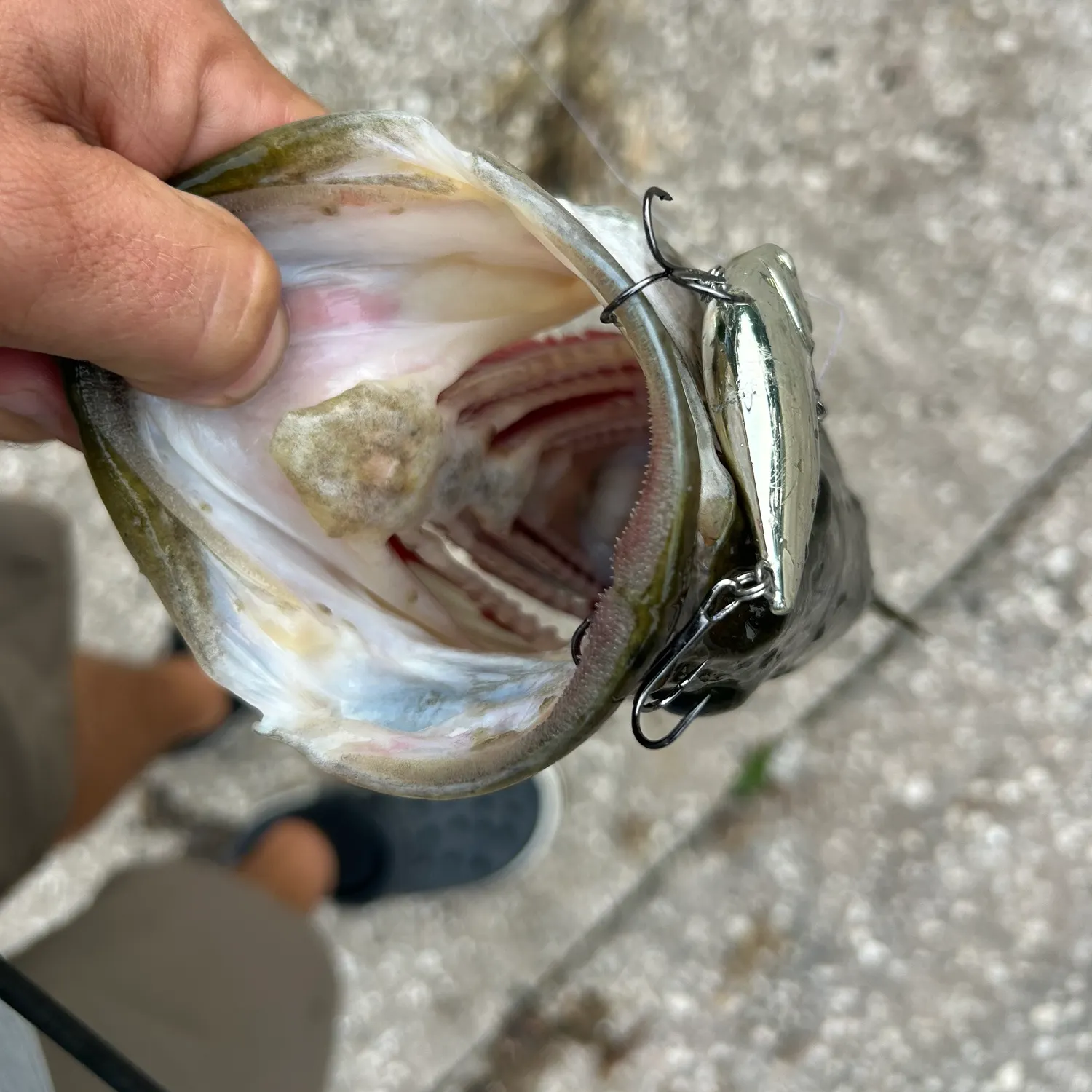 catch