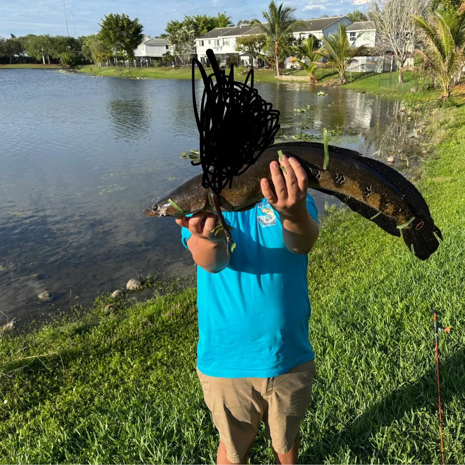 The most recent Bullseye snakehead catches on Fishbrain