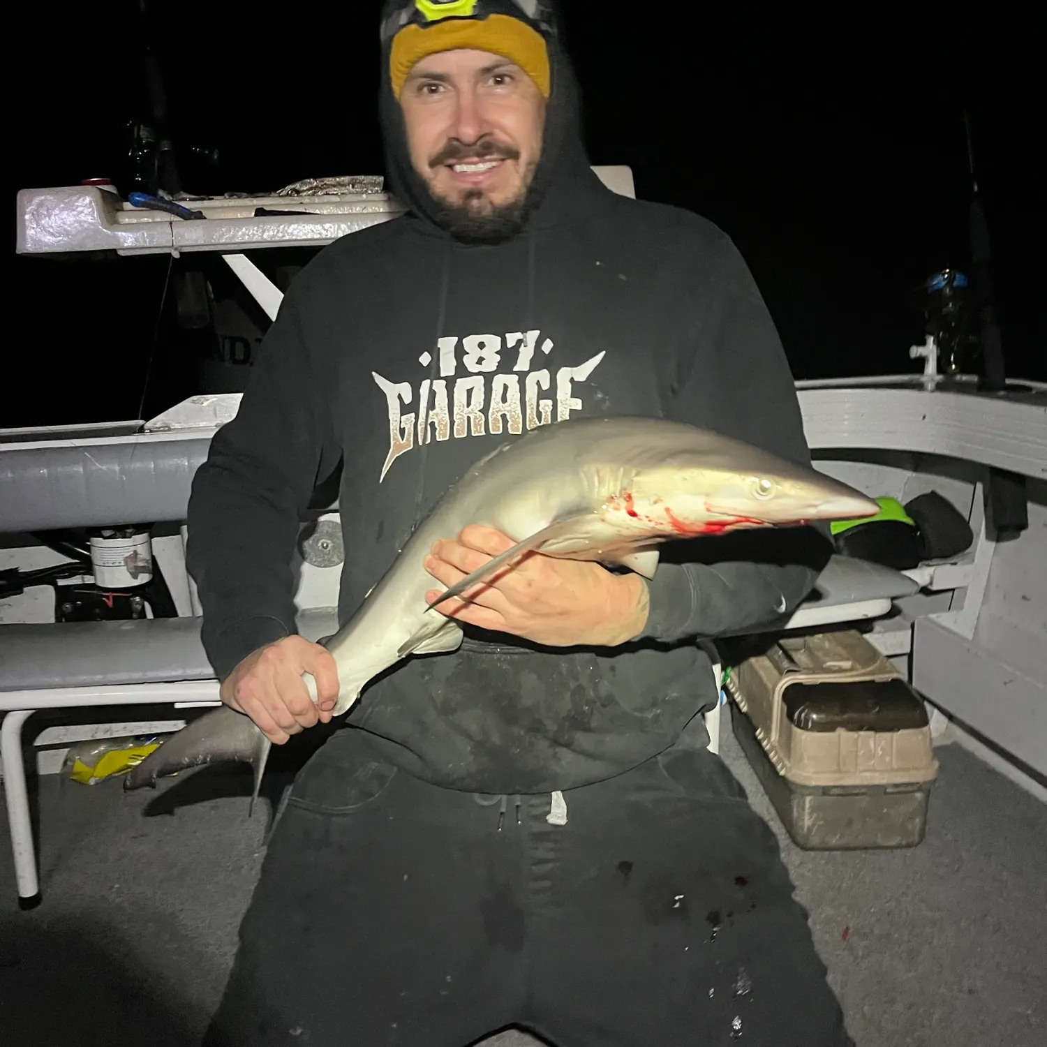 The most recent Tope shark catches on Fishbrain