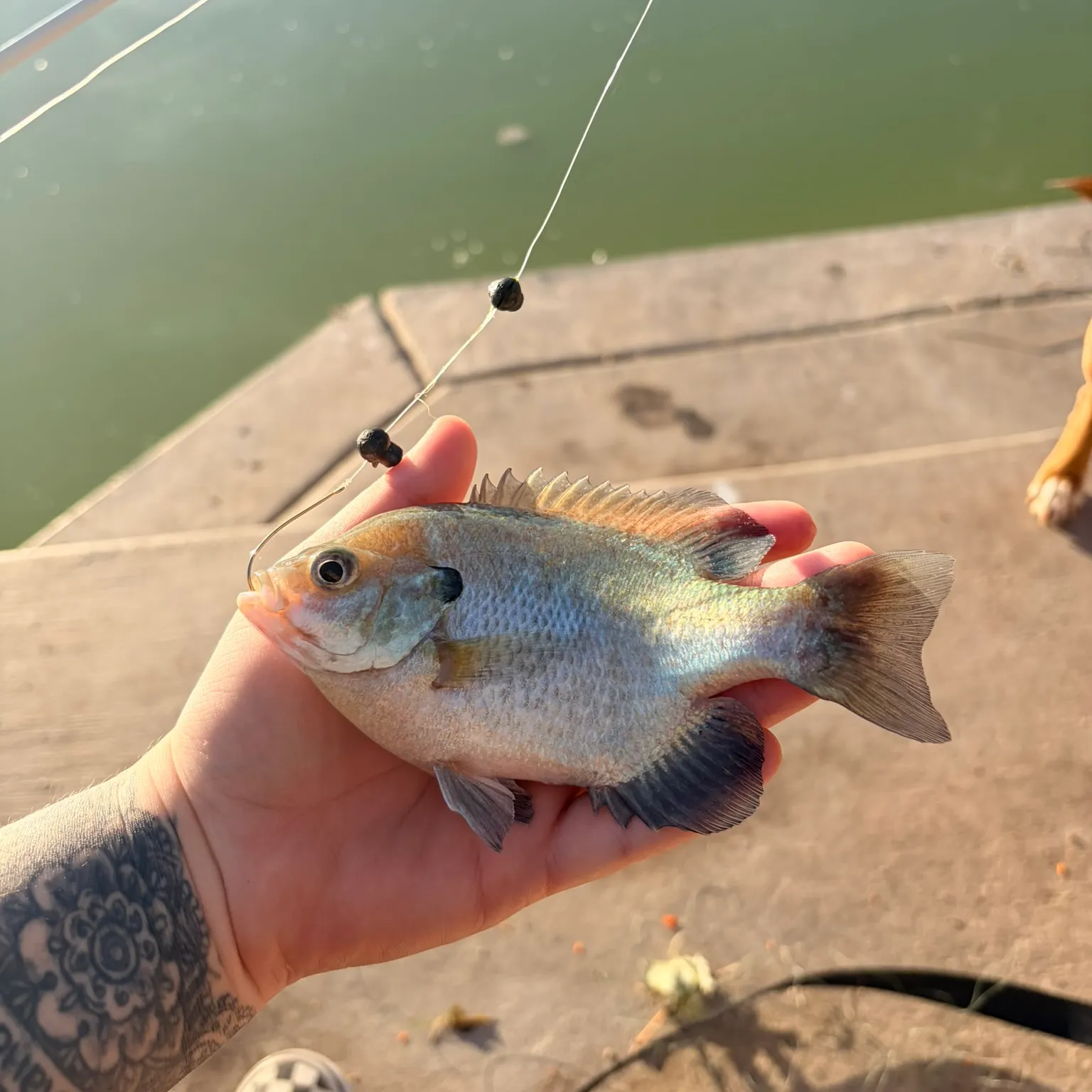 catch